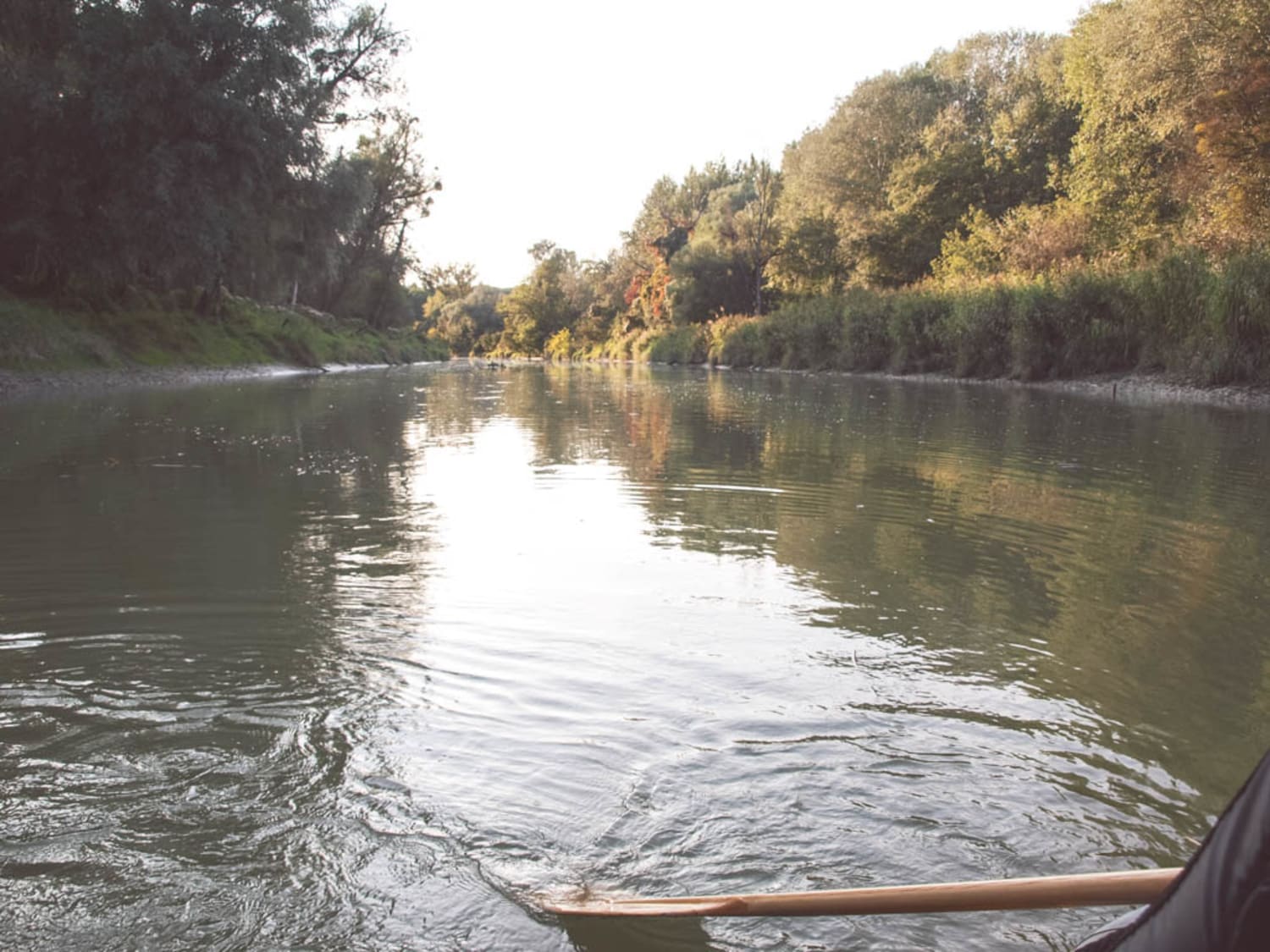 Paddel im Wasser, Donau Auen Schlauchboottour