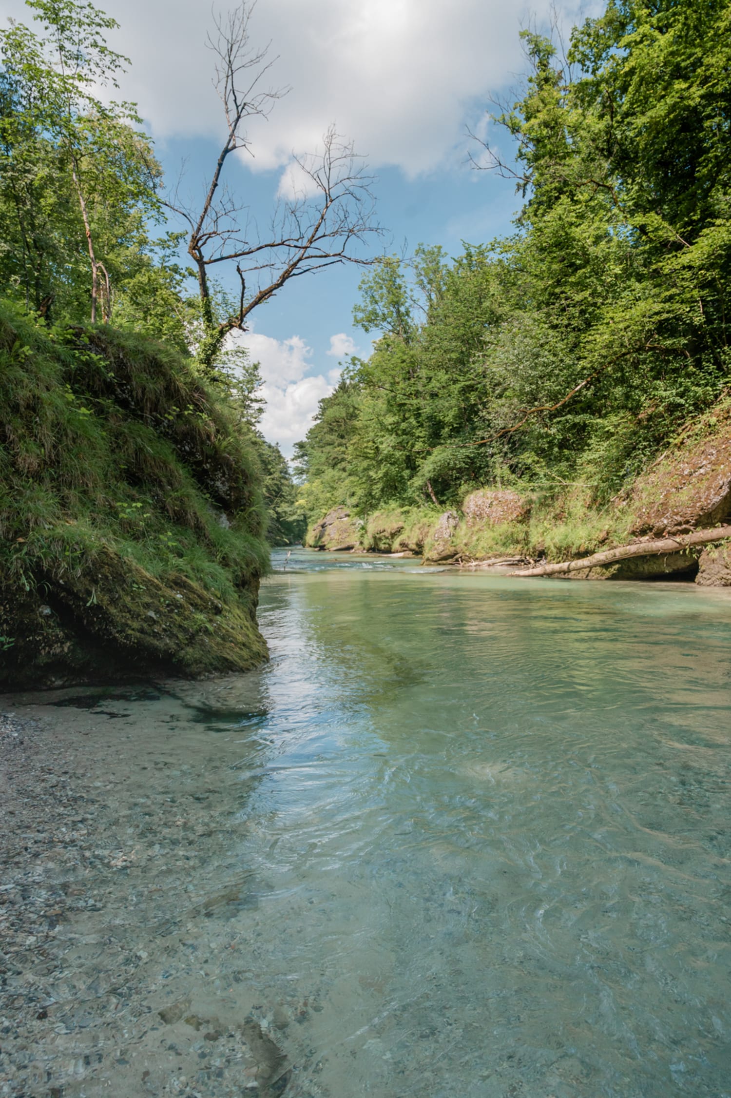 Glasklares Wasser in der Erlaufschlucht bei Purgstall