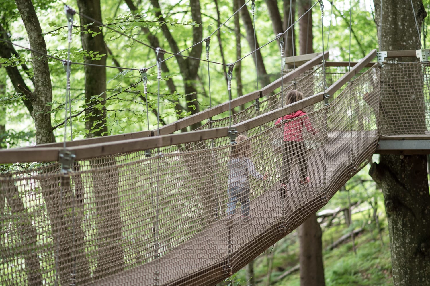 Kinder auf Hängebrücke im Familywald am Ossiacher See