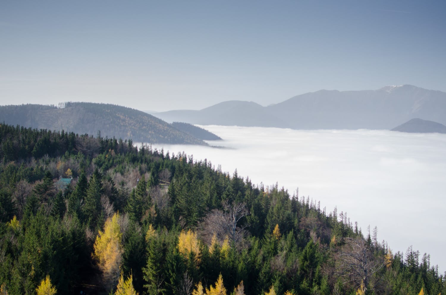 Nebel auf der Hohen Wand, Aussichtswarte mit Blick auf den Schneeberg über den Wolken