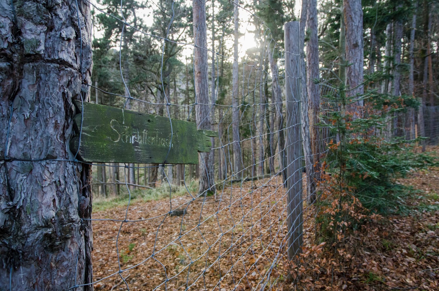 Hubertusrunde Schrattenbach