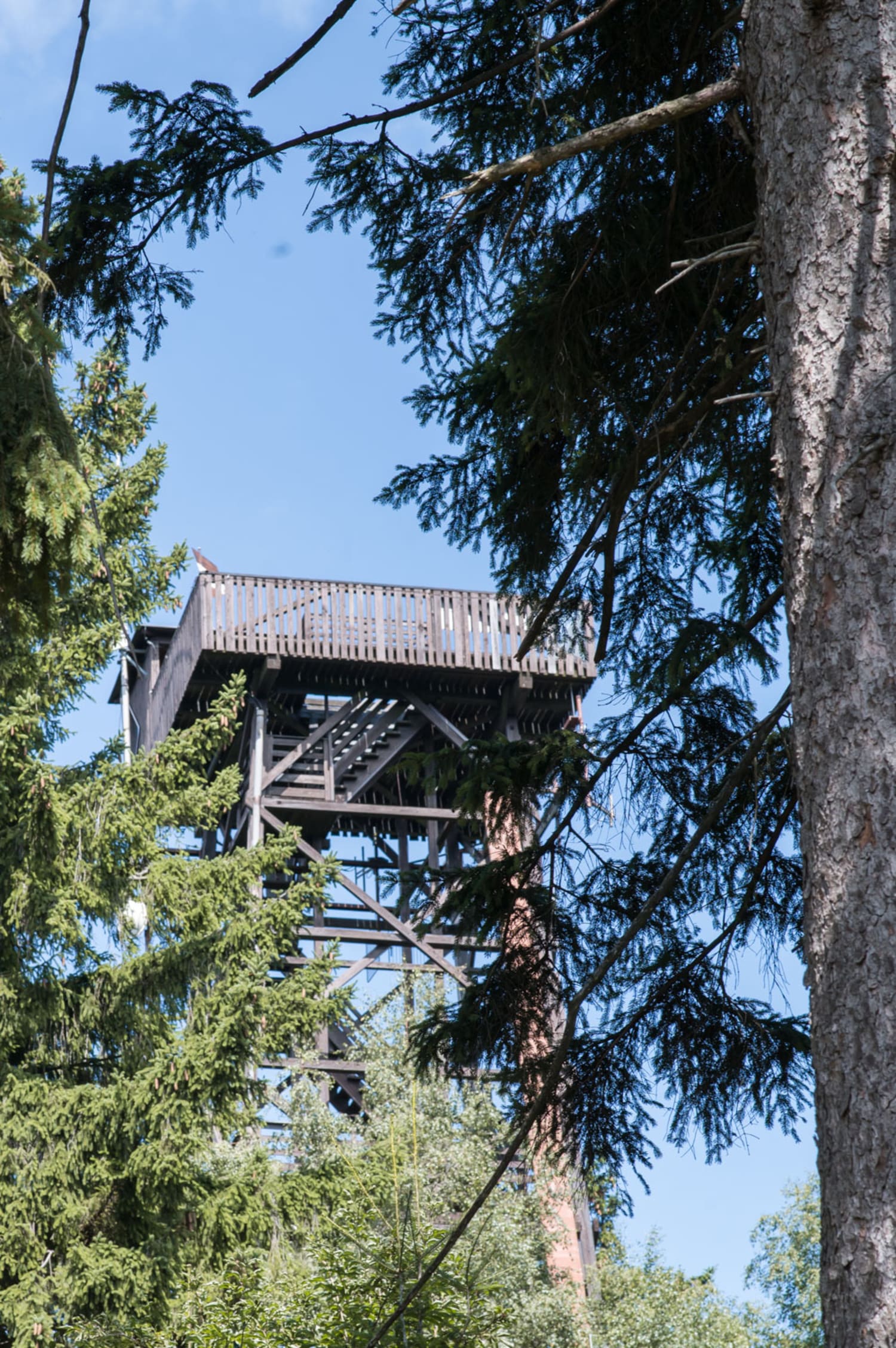 Hutwischwarte Aussichtsturm