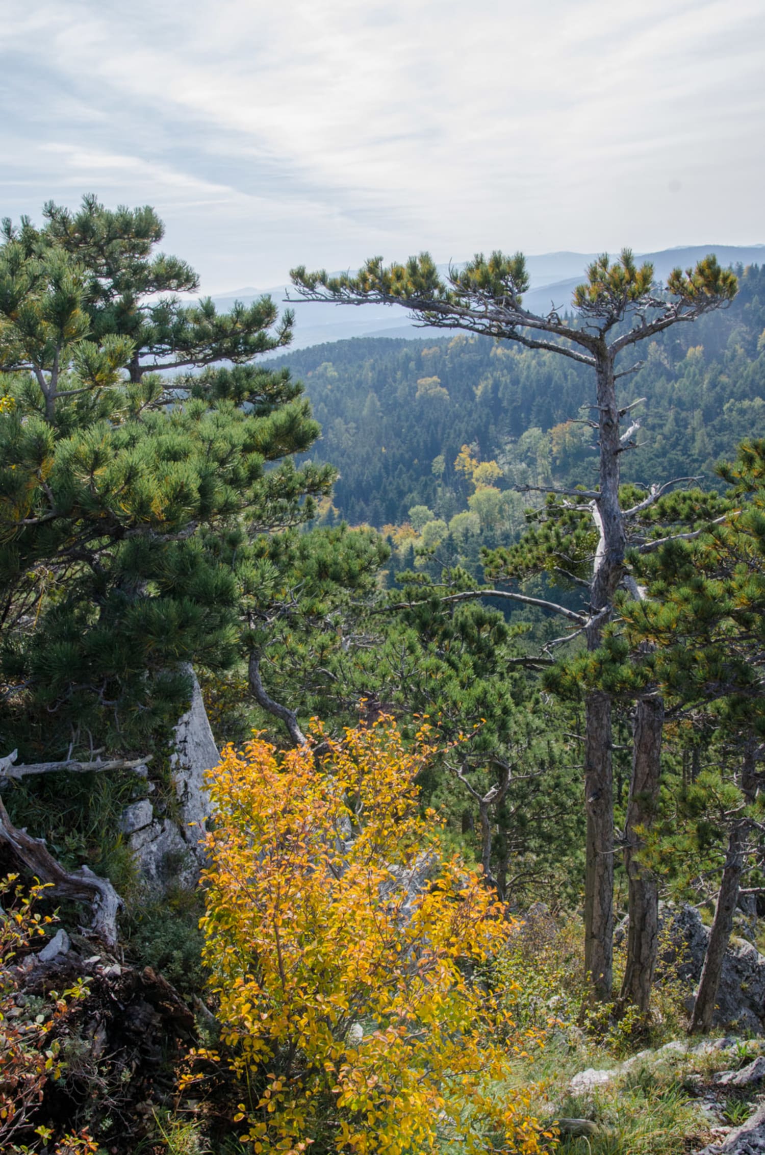 Blick über den Irmasteig am Kienberg