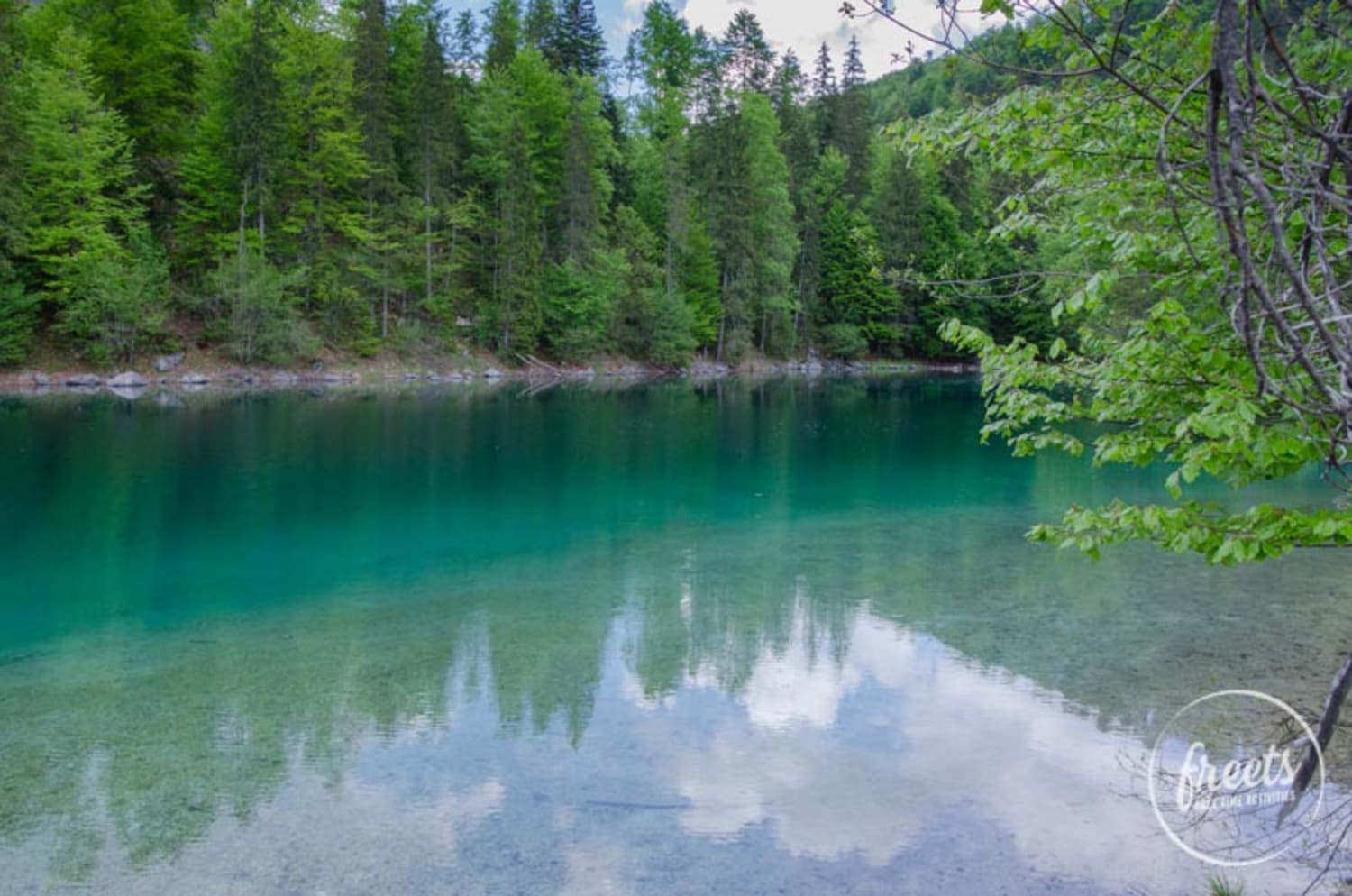 kleiner Ödsee, Wasser mit Wald