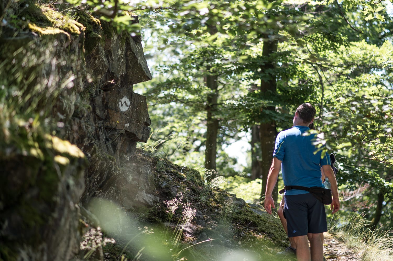 Abstecher in den Wald bei Maria Taferl mit Andi Frey vom Freyswirtshaus