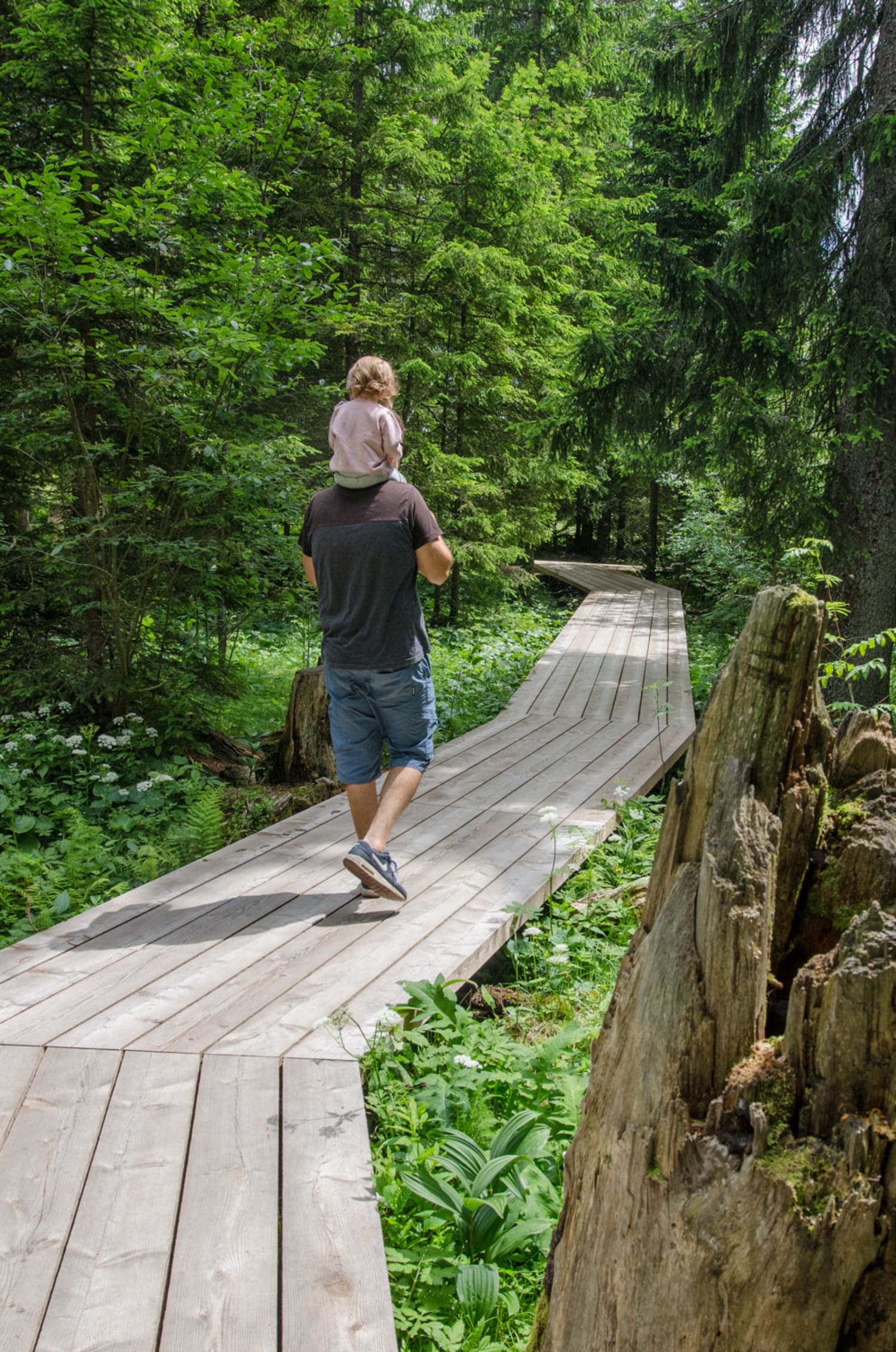 Spaziergang mit Kleinkind am Moorlehrpfad Teichalm, Steiermark