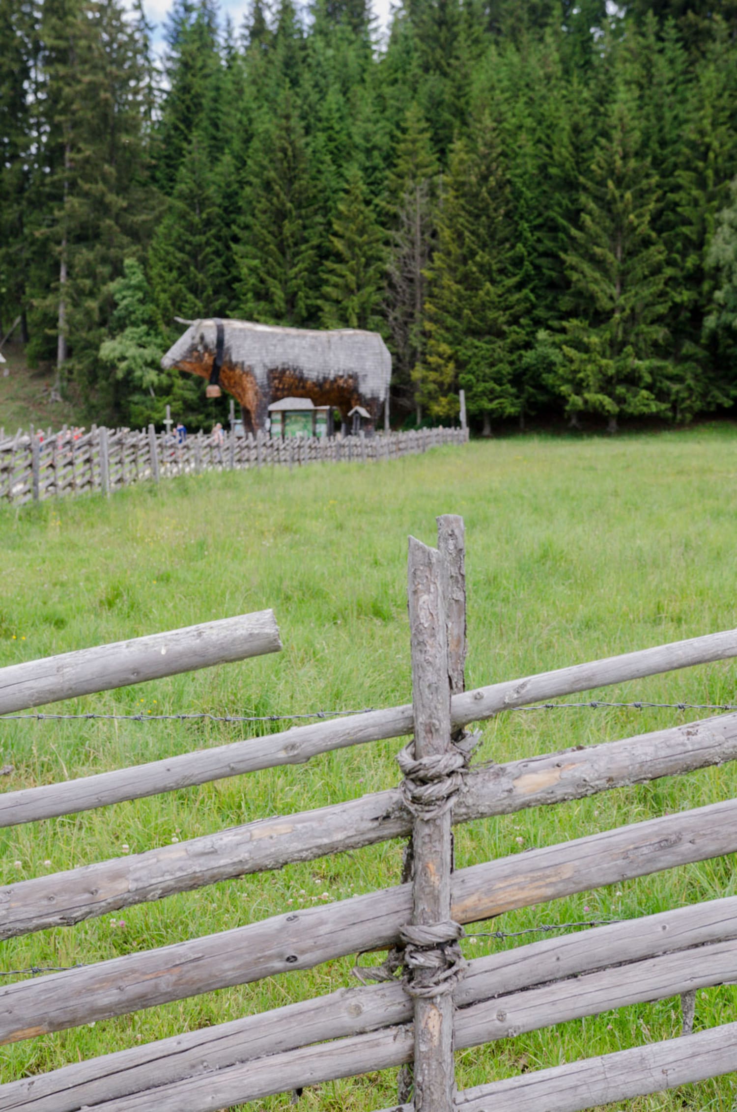 Holzochse am Eingang zum Moorlehrpfad