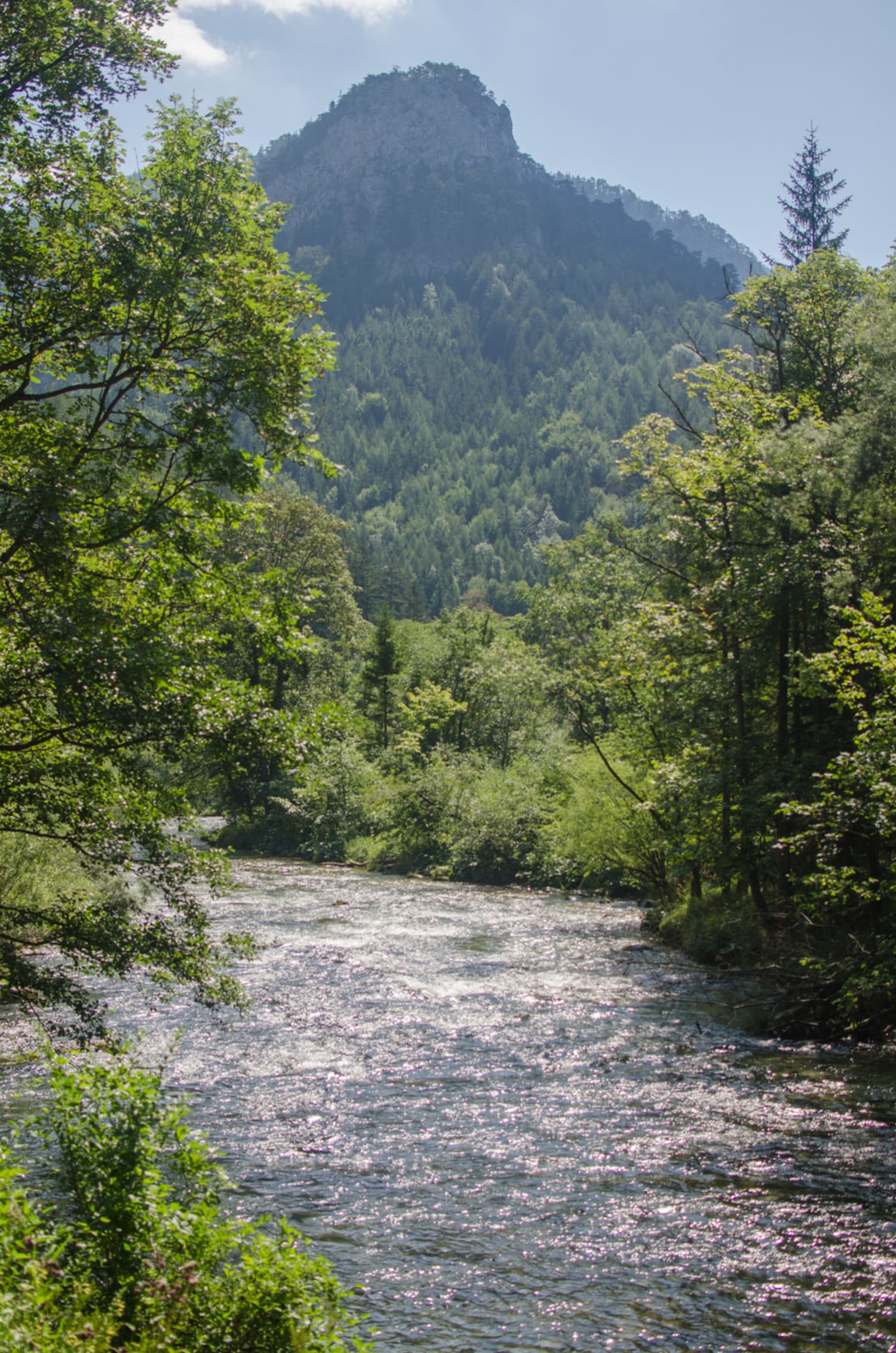 Schwarza am Naturlehrpfad Kaiserbrunn