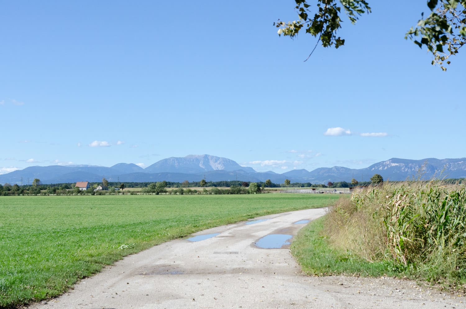 Nur ein paar Schritte zum Radweg und schon gibt es einen tollen unverstellten Blick auf Schneeberg und Hohe Wand.