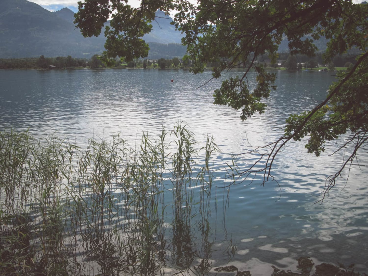 Wolfgangsee, Seeufer bei Ried am Pilgerweg über den Falkenstein