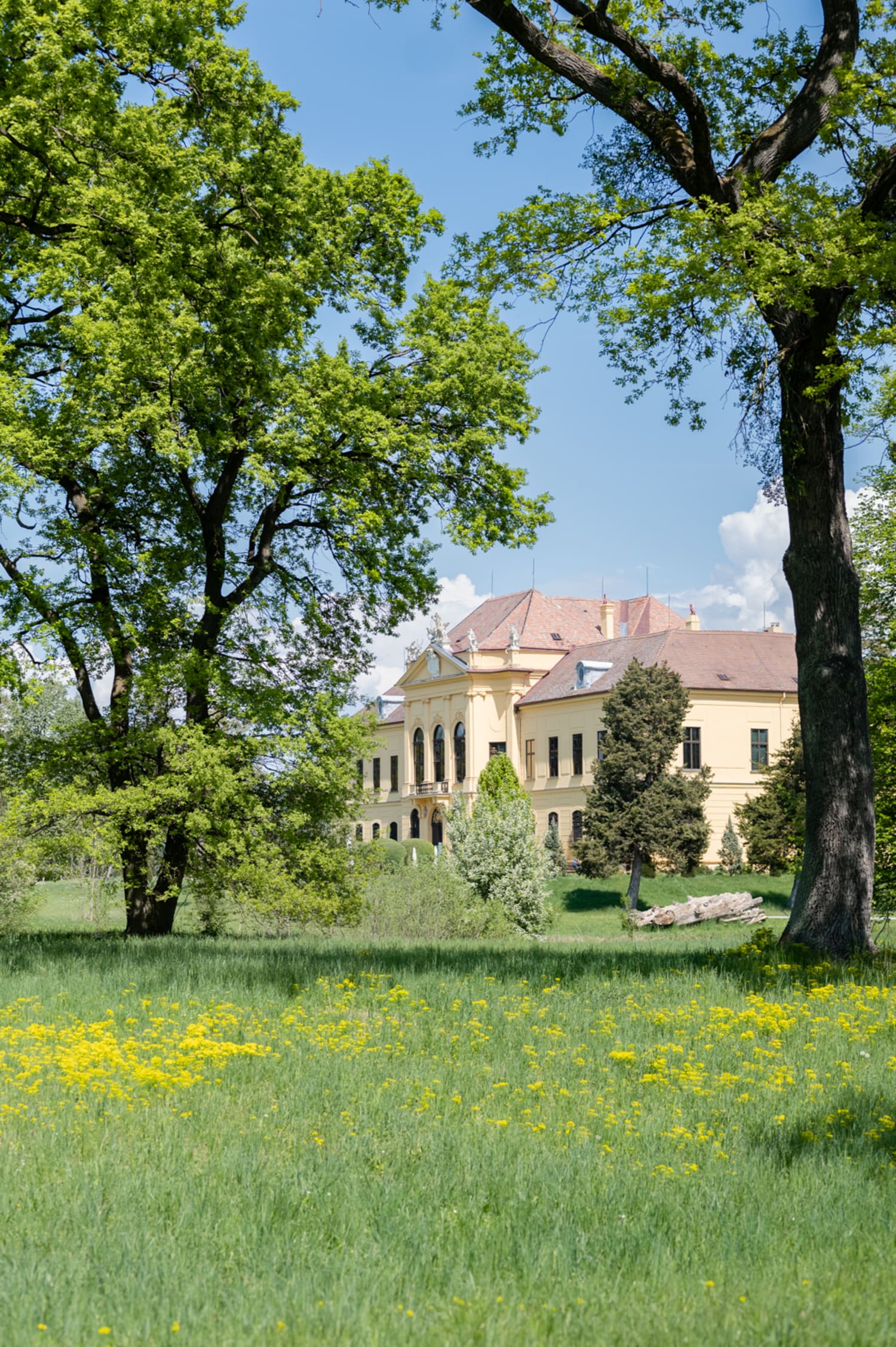Schlossfassade mit Park im Vordergrund, Eckartsau