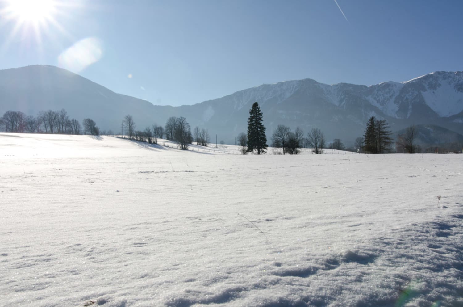 Schneeberg im Jänner 2020