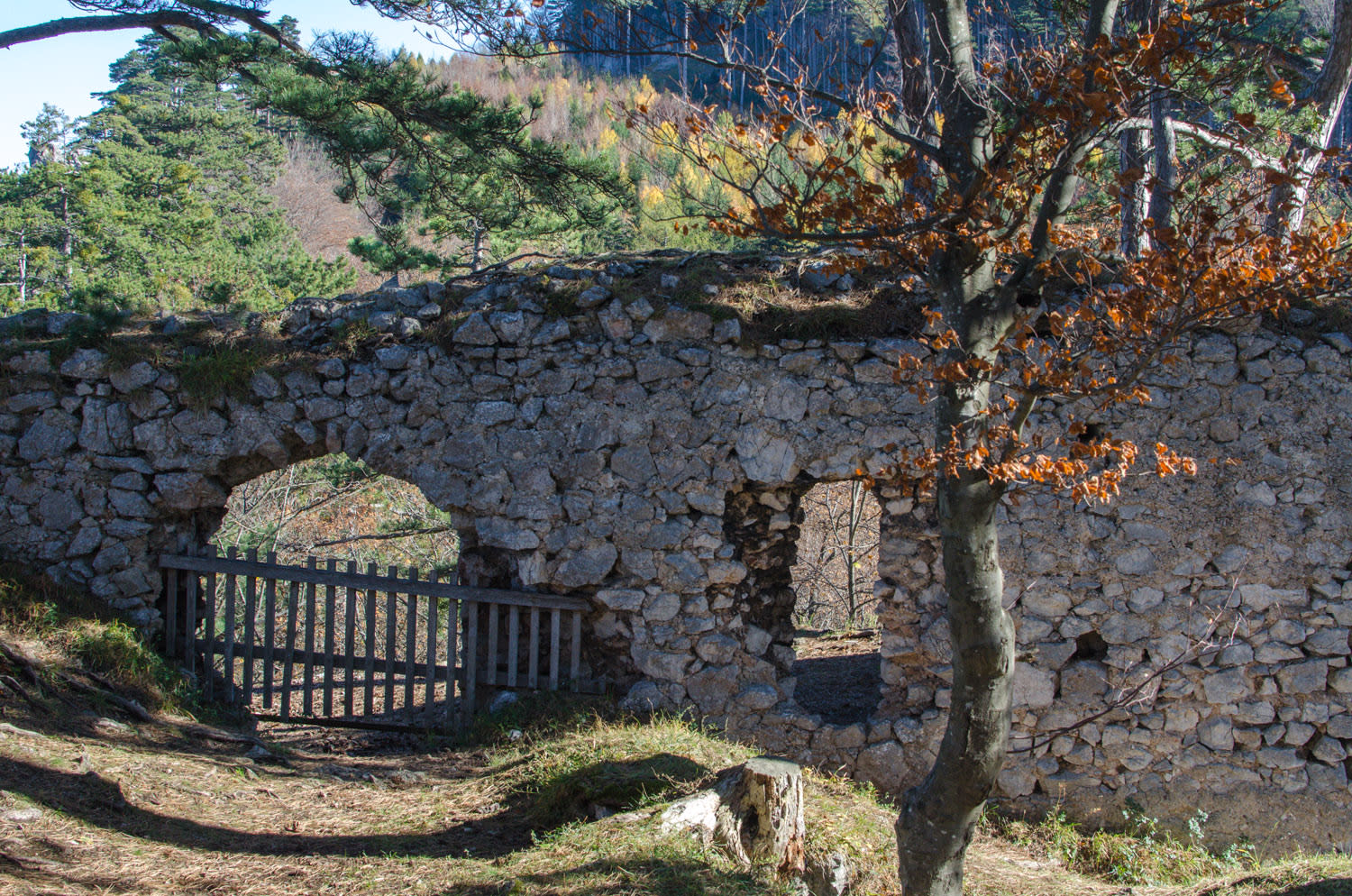 Mauer der Ruine Schrattenstein, Ruinenrunde Schrattenbach