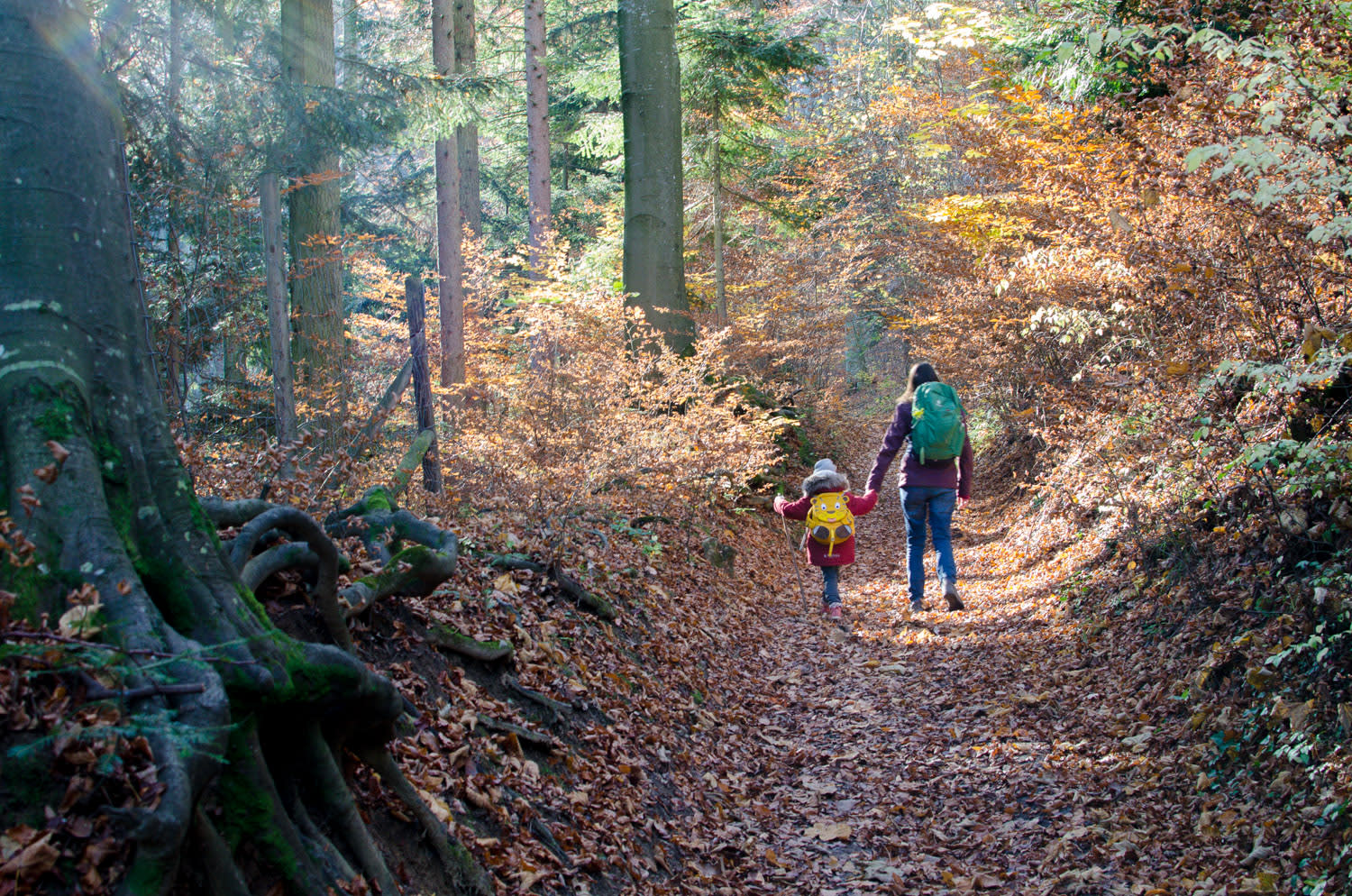 Ruinenrunde bei Schrattenbach im Herbst