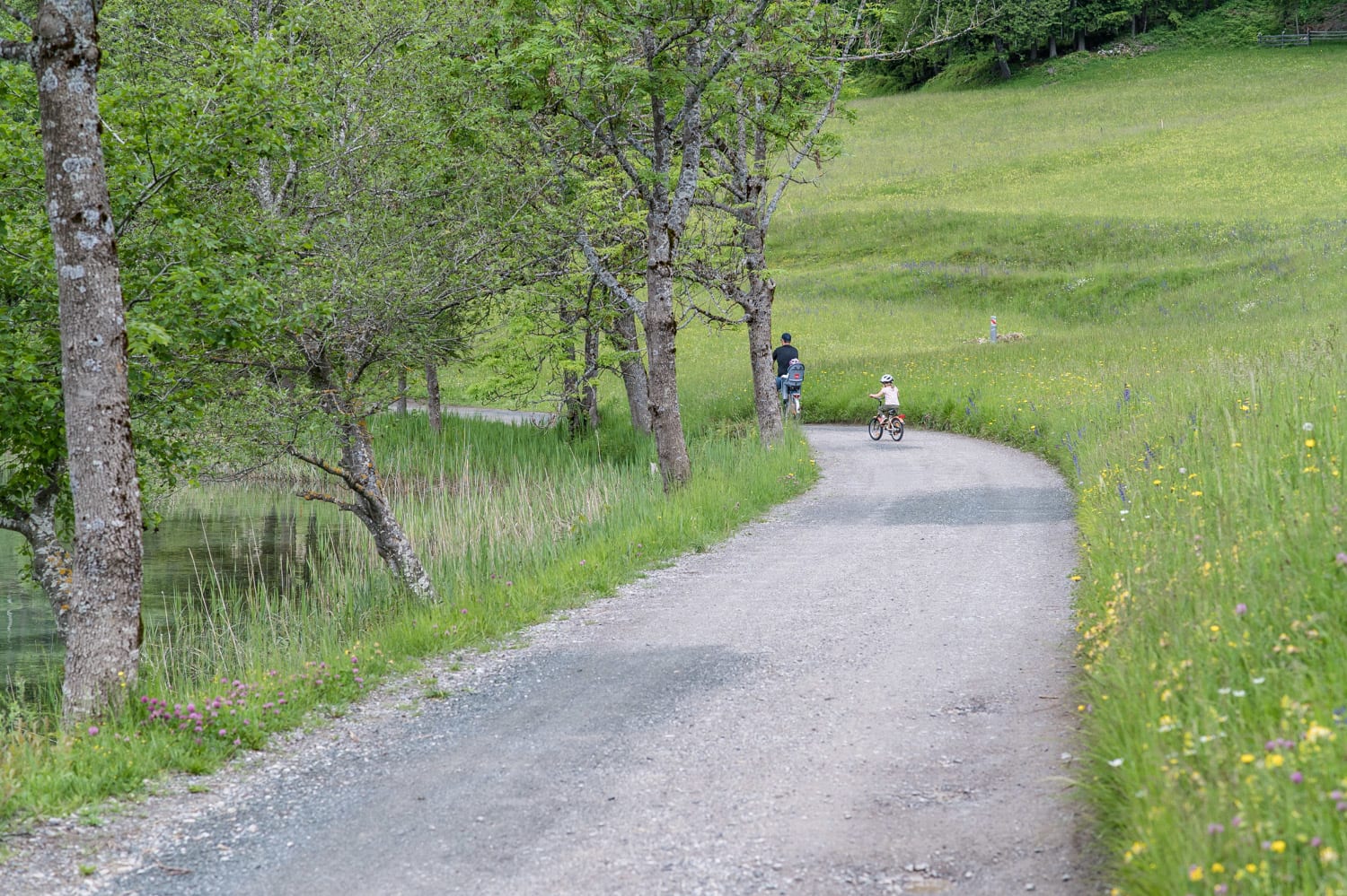 Slow Trail Weissensee