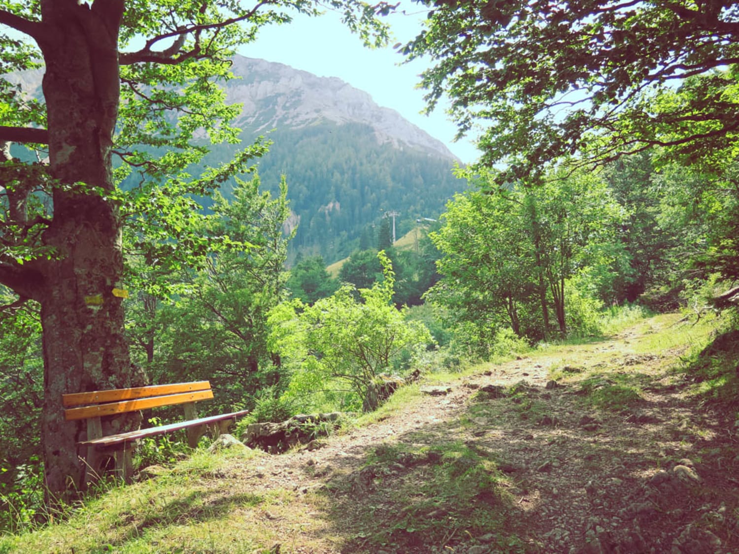 Rastbank mit Schneeberg am Weg retour zur Talstation vom Almreserlhaus