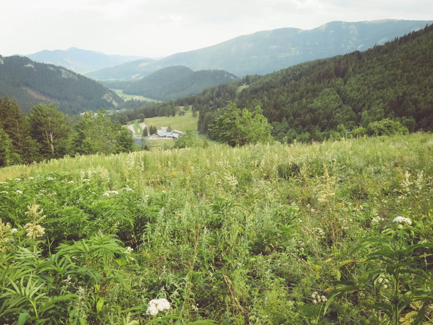 Weg vom Almreserlhaus am Schneeberg zur Talstation des Sessellifts