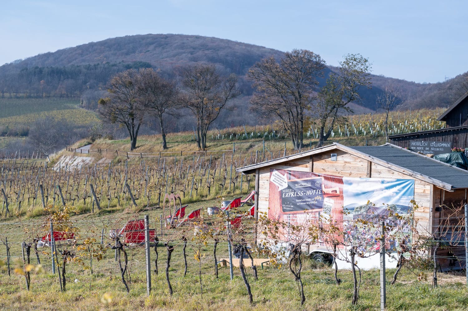 Nussberg, Weinwandern in Wien, Heuriger in den Weinbergen im Herbst