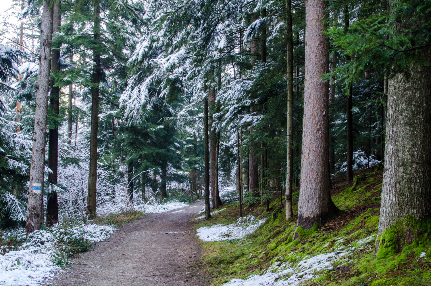 Gfieder, Winter Gfieder, Weg im Winter zur Gfiederwarte