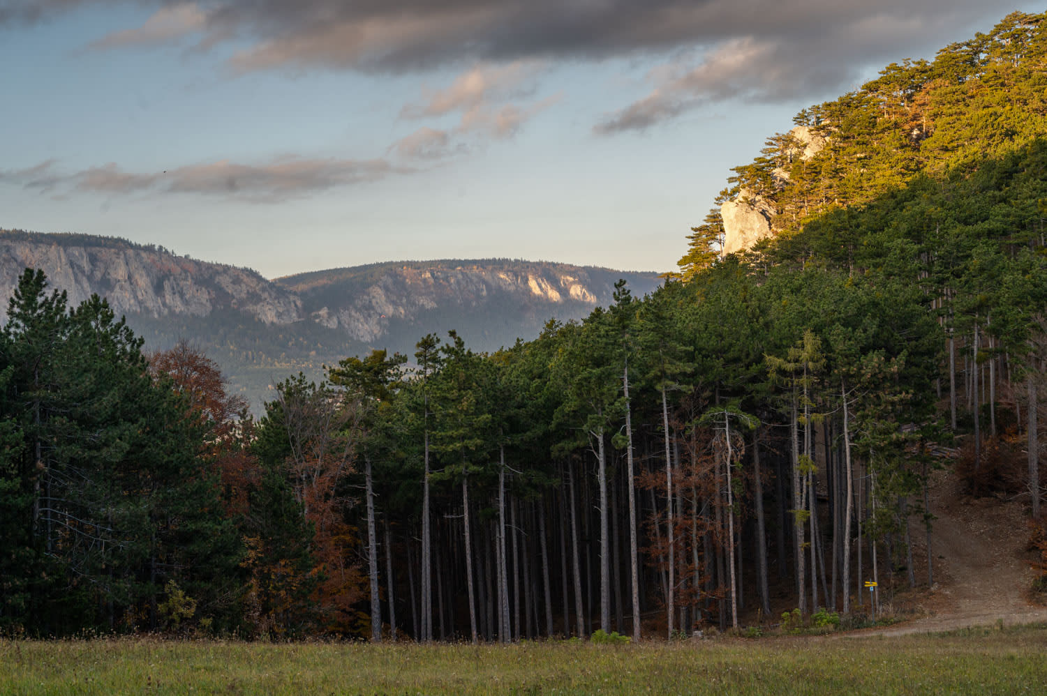 Blick am Irmafelsen und die Hohe Wand von der Zweier Wald Runde bei Höflein