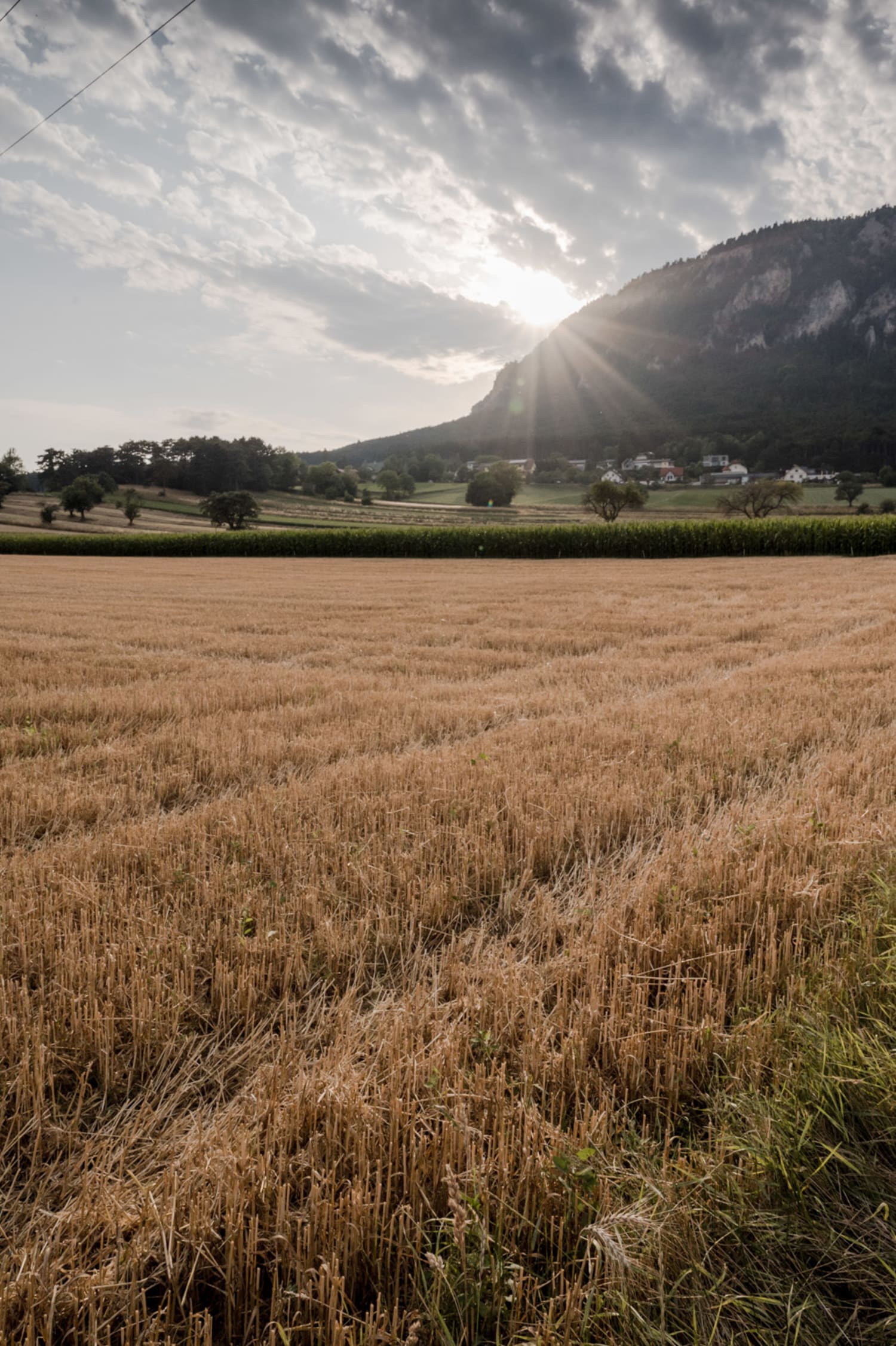 Landschaft auf der Fruchtfreunde Runde, Kindererlebnisweg bei Zweiersdorf