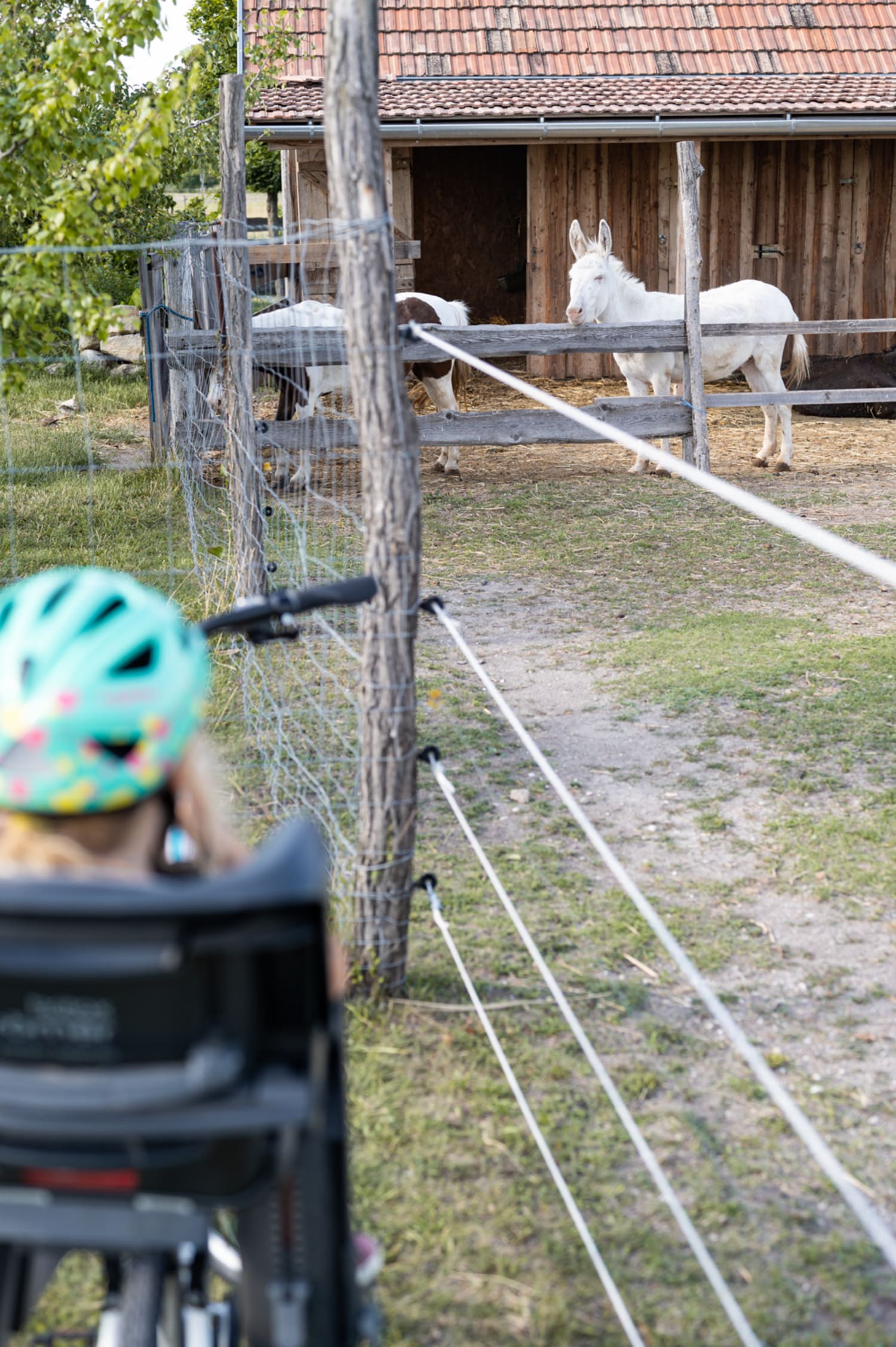 Radtour mit der Familie Rust