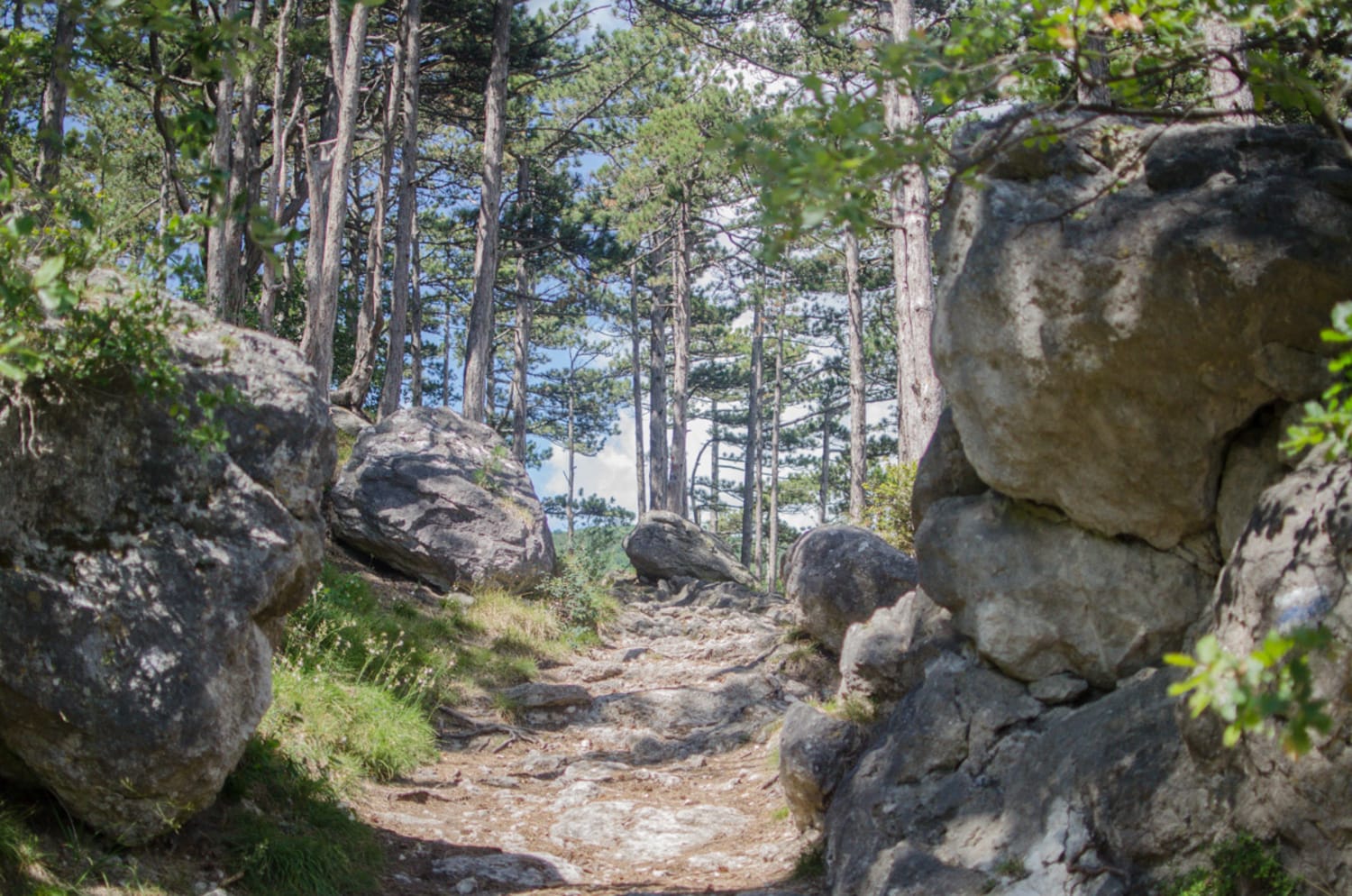 Wanderweg zur Ruine Rauheneck bei Baden