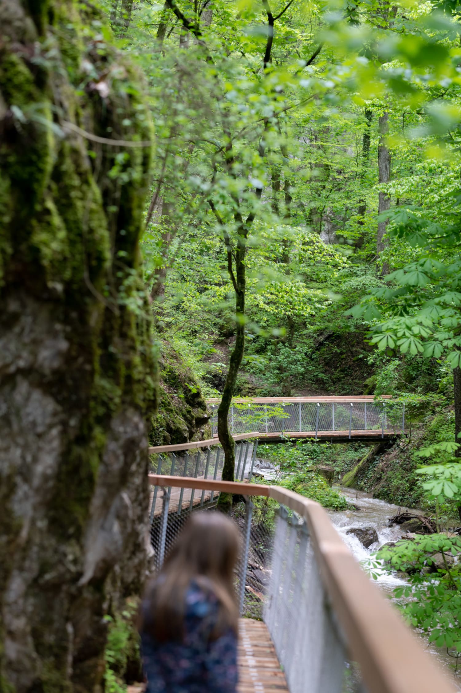 Johannesbachklamm, Steganlagen mit Kind