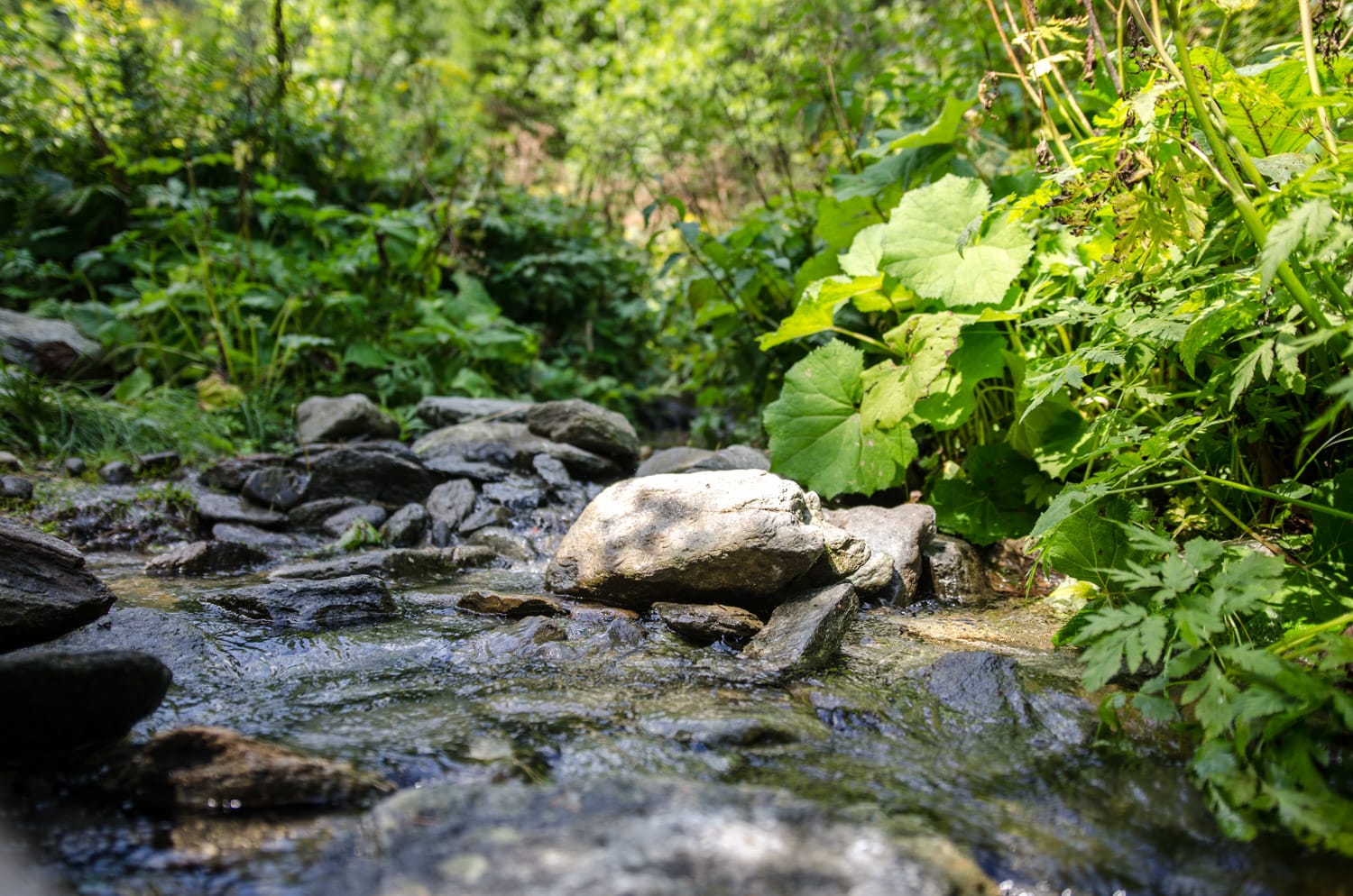 Pöstlingbach am Wildwasserweg Mariensee am Wechsel