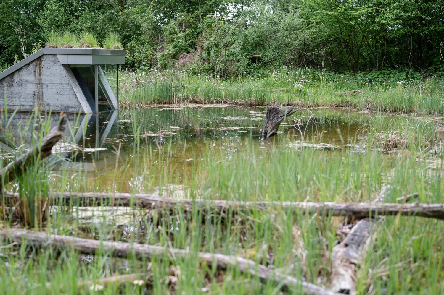 Blick auf den Teich der Schlossinsel samt Unterwasserbeobachtungsstation im schlossORTH