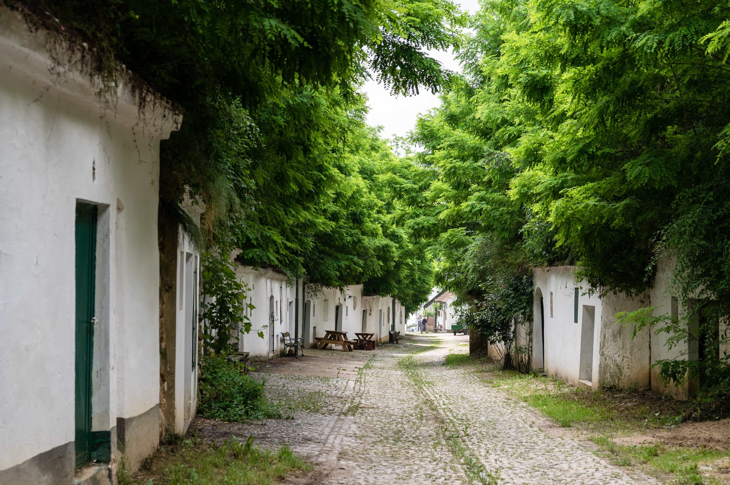 Kellergasse Radyweg in Poysdorf, Rundgang bei der Besichtigung Weinviertler Erlebnisbetriebe