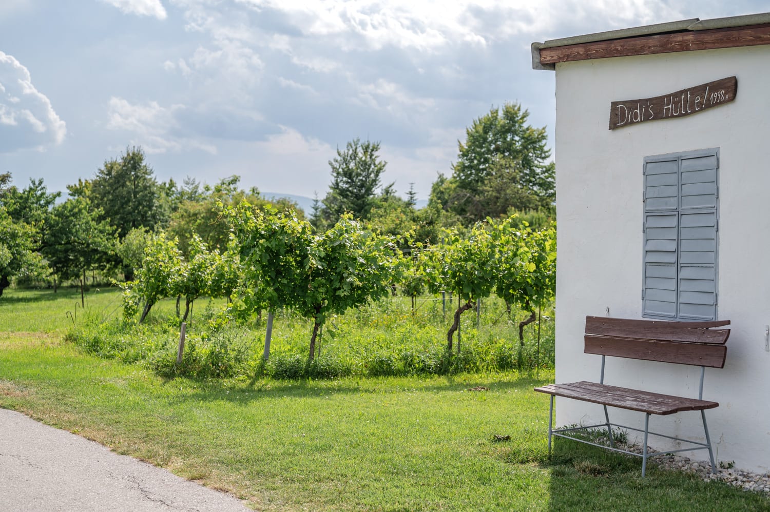 Weinhütte im Naturschutzgebiet Teichwiesen, Mittelburgenland-Rosalia