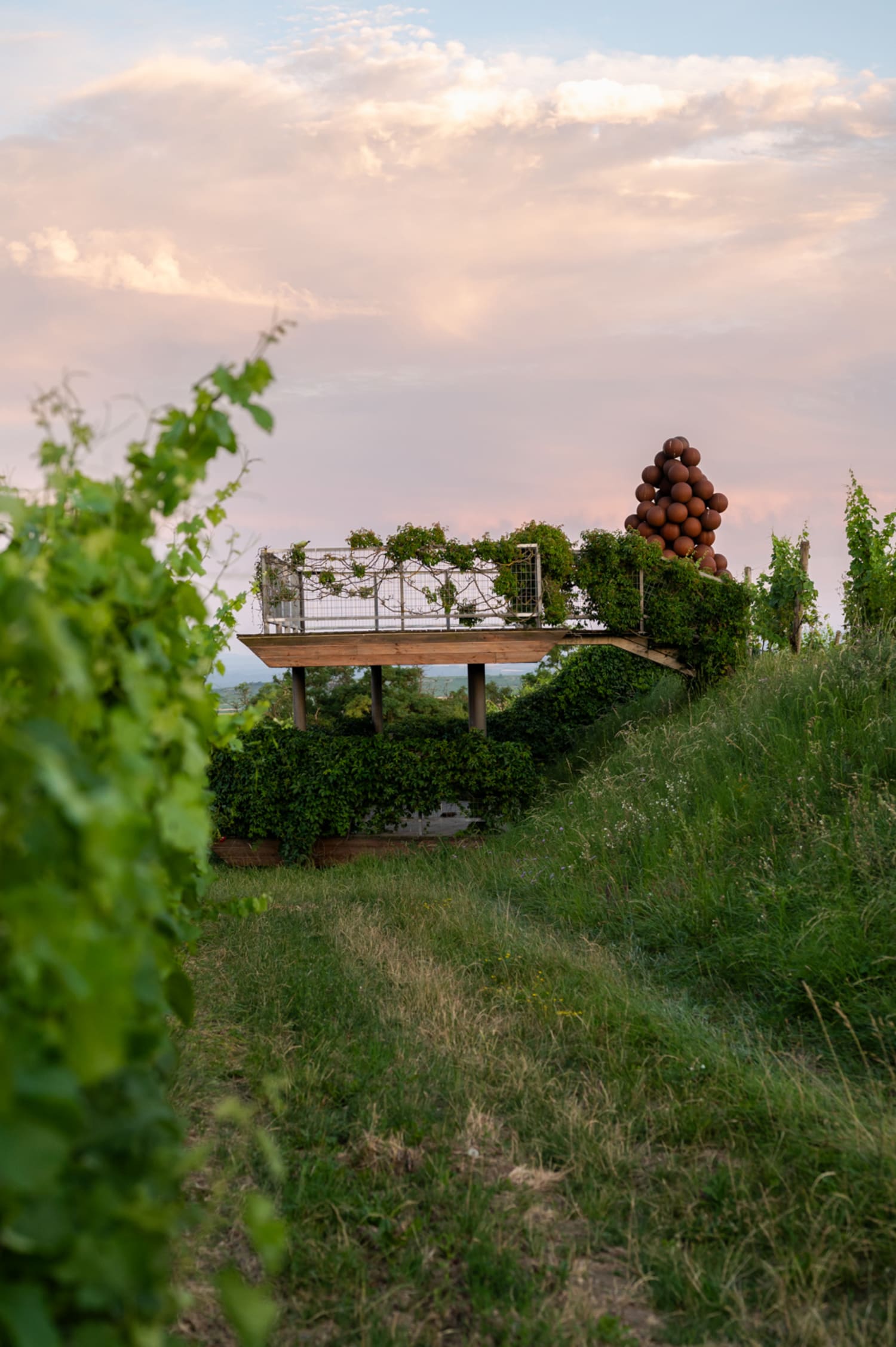 Riesenweintraube und Aussichtsplattform am Weinweg Langenlois