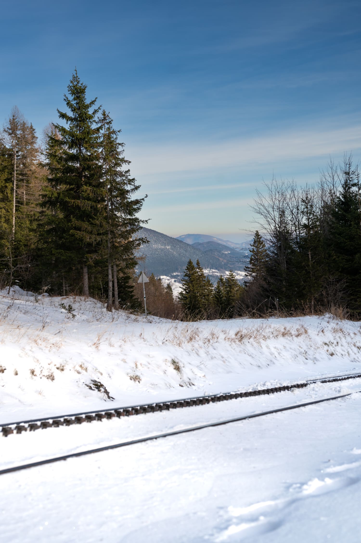 Zahnrad der Schneebergbahn im Schnee, Winterfahrten zur Hengsthütte