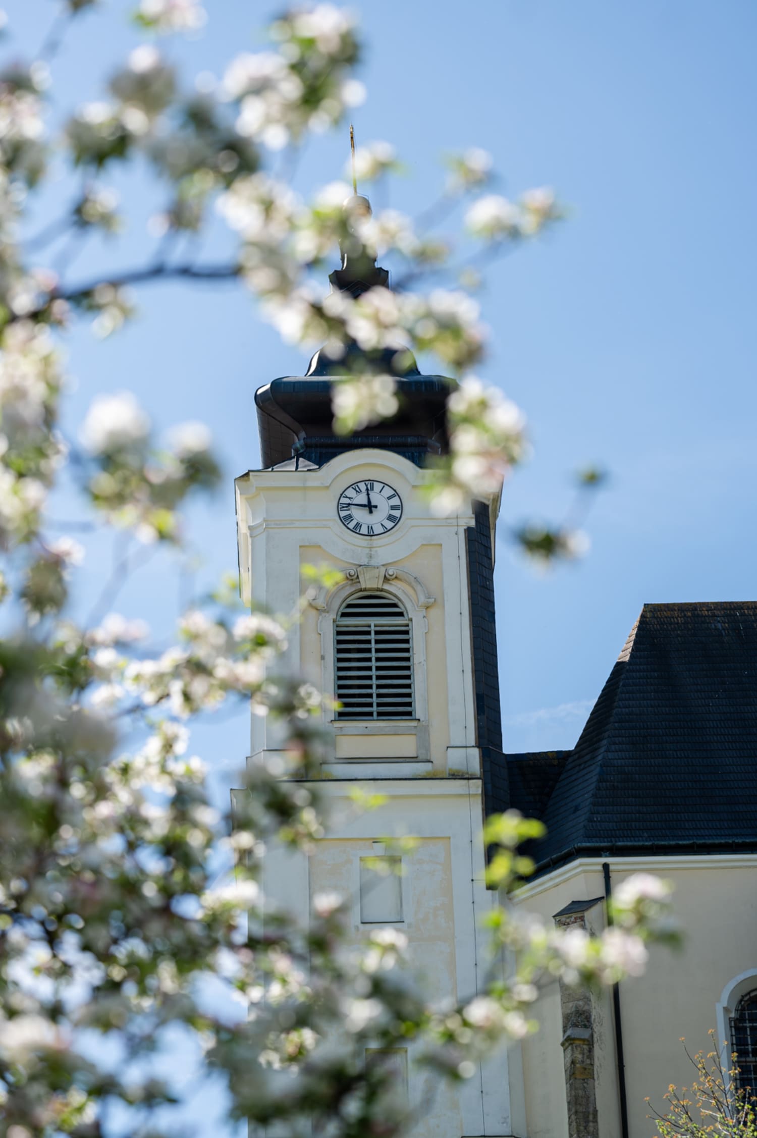 Kirche Höflein im Frühling