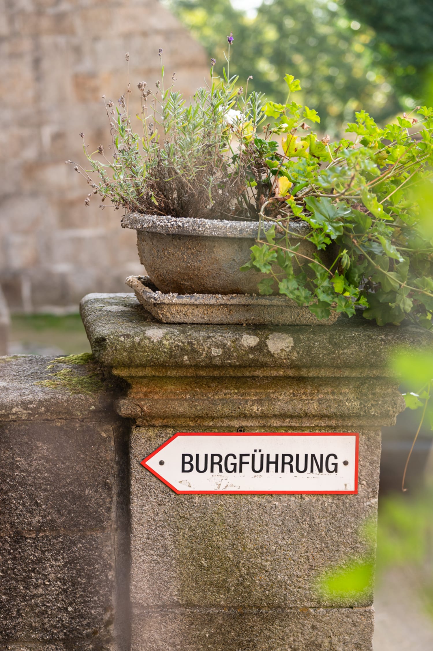 Schild Burgführung auf der Burg Heidenreichstein