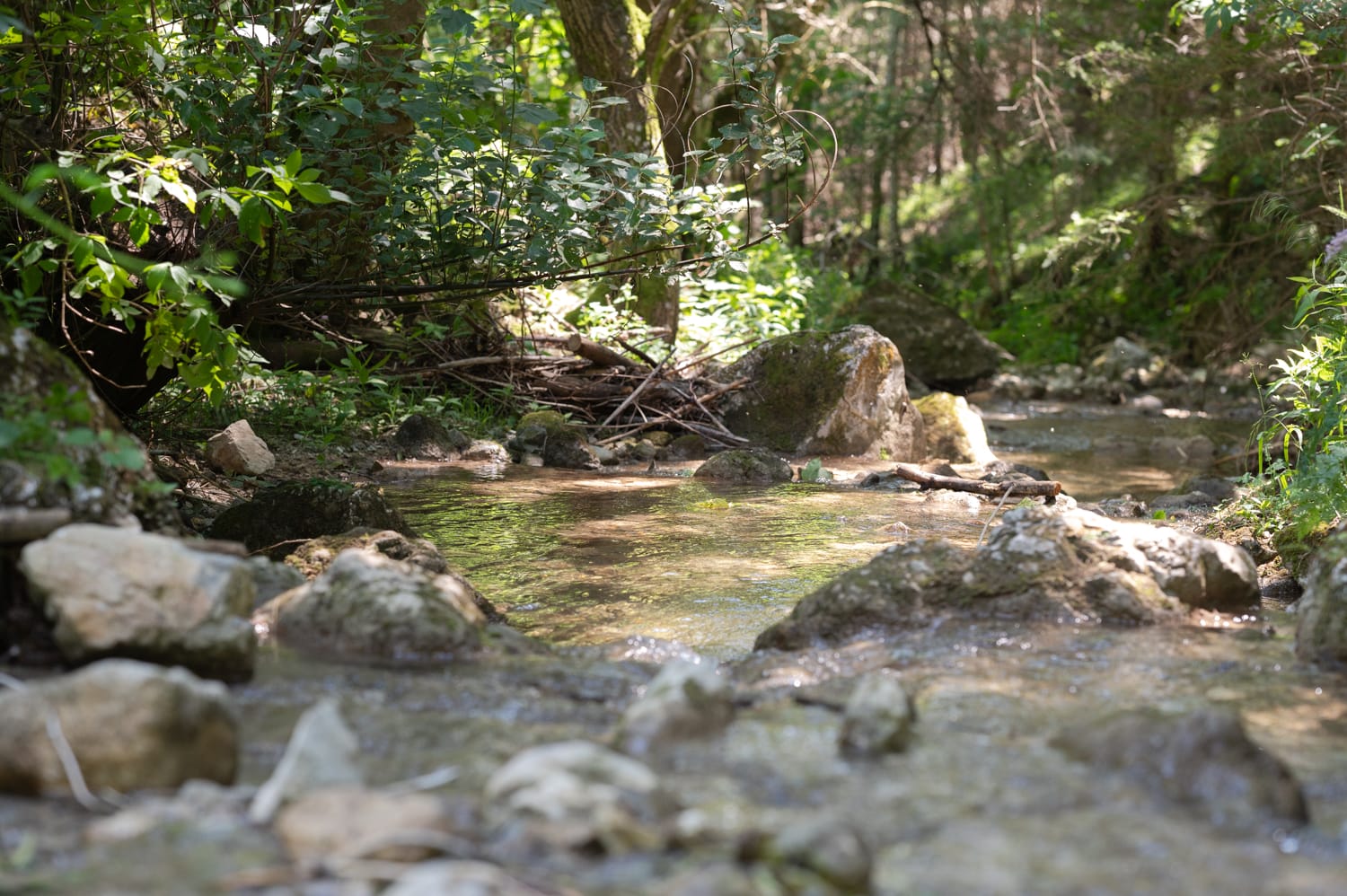 Weg zum Sebastianwasserfall in Puchberg am Schneeberg