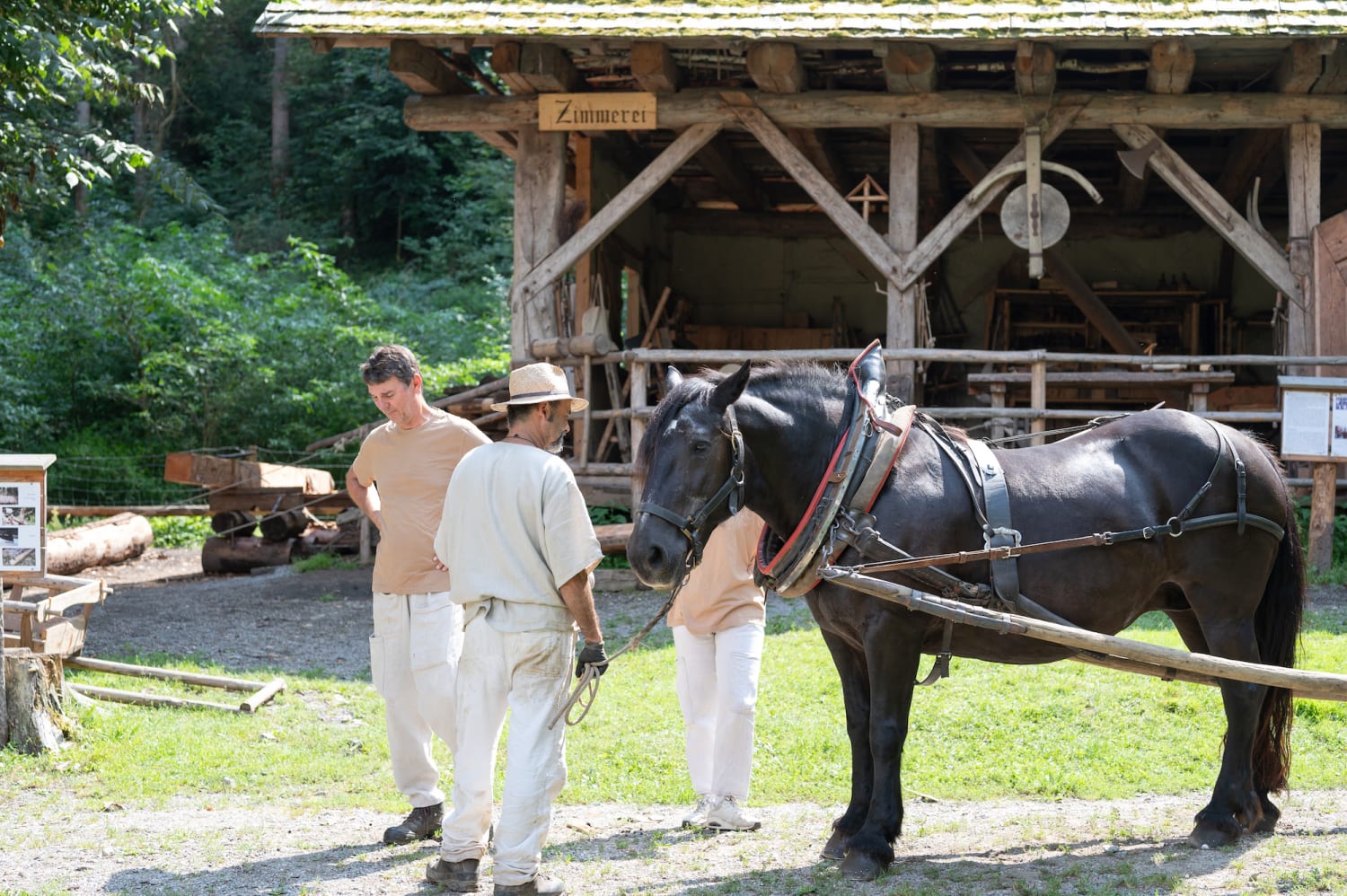 Pferdewagen am Erlebnis Burgbau Friesach