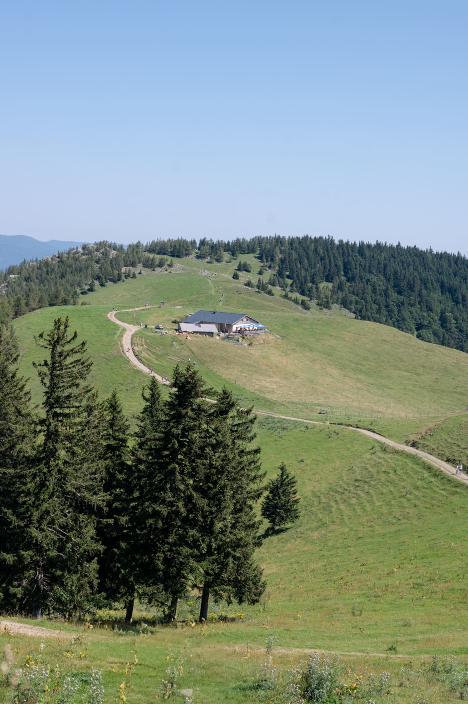 Aussicht aufs Almreserhaus am Schneeberg im Sommer