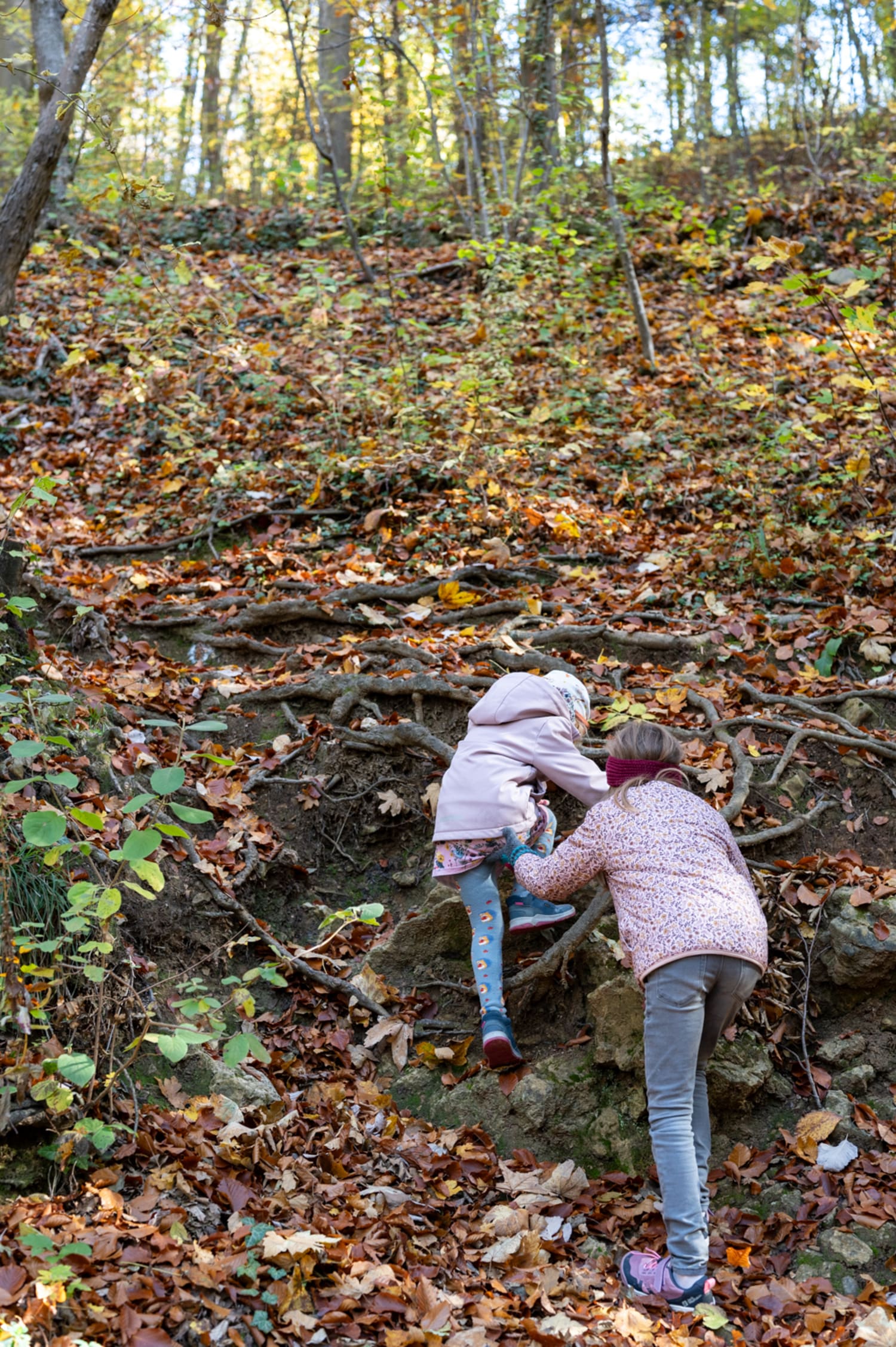 Kindern wandern zur Burg Seebenstein