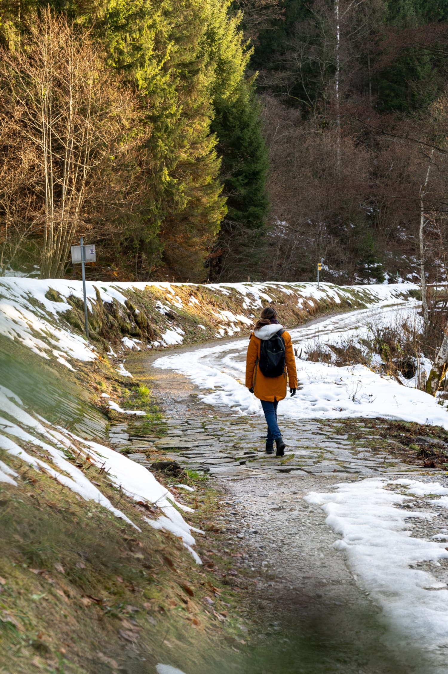 Wandern entlang des Kamps am Wunderwasserweg bei Zwettl