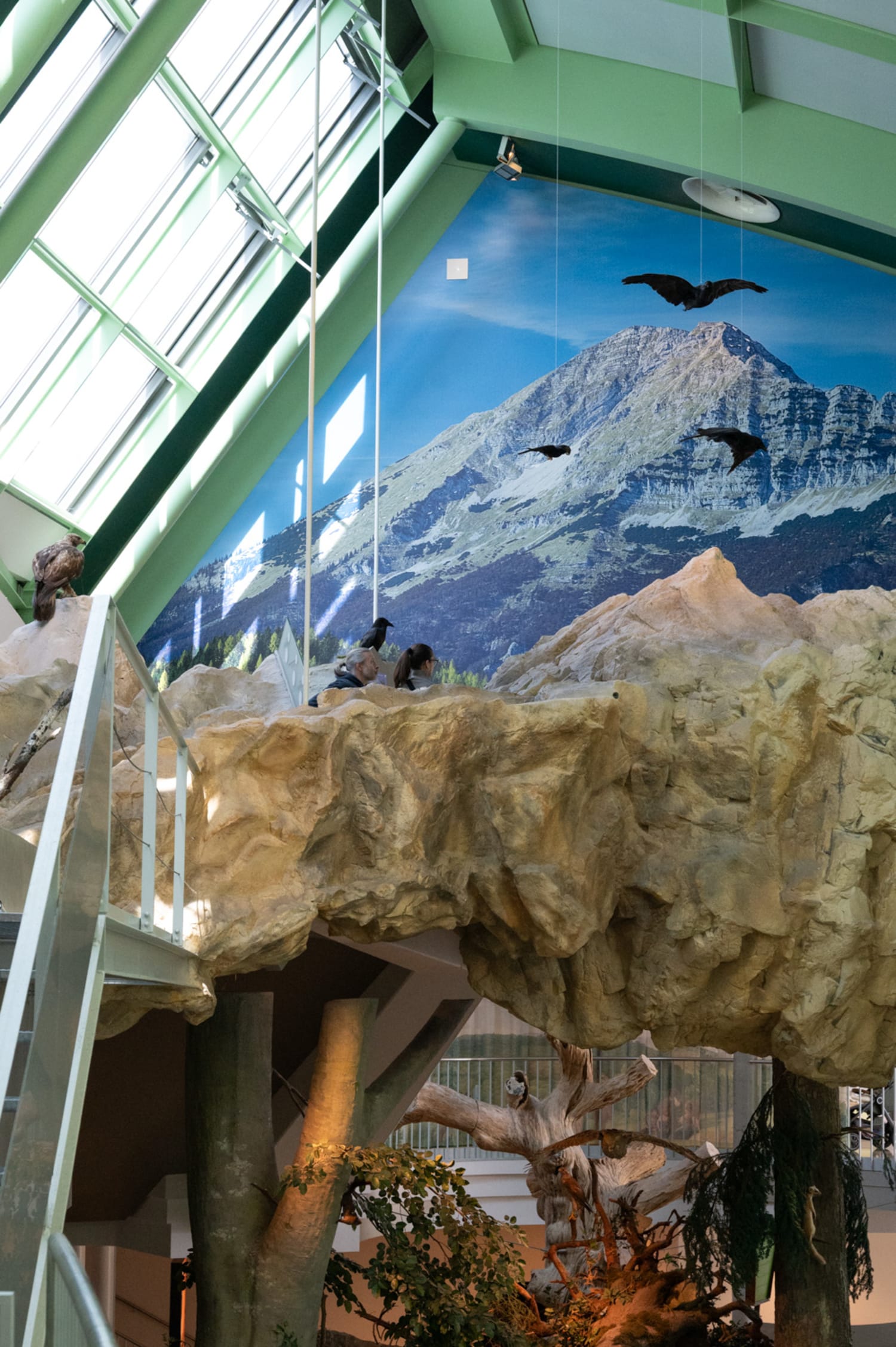 Gebirge im Haus für Natur, Museum Niederösterreich