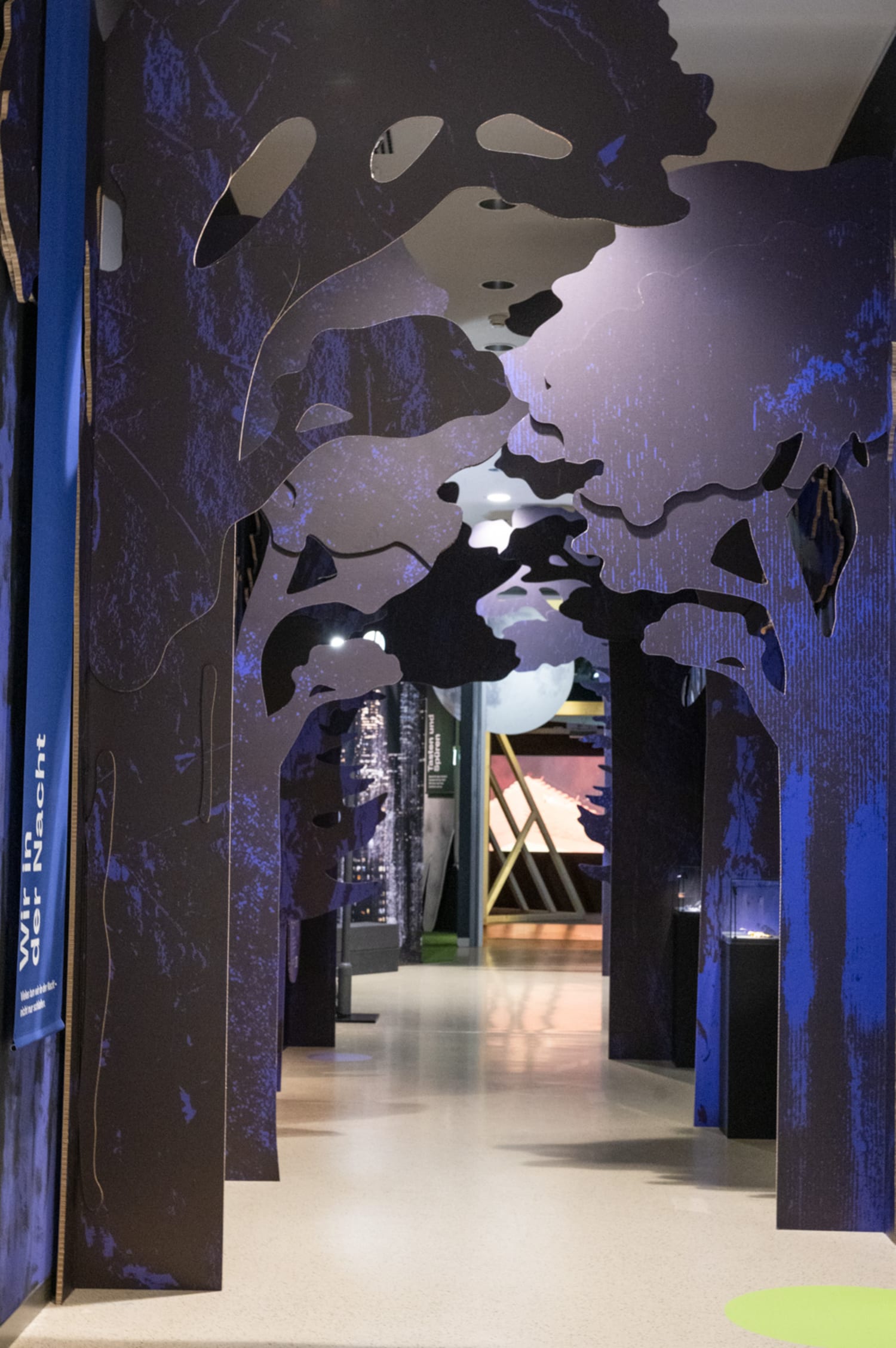 Ausstellung Tiere der Nacht im Haus für Natur, Museum Niederösterreich, Eingangsbereich