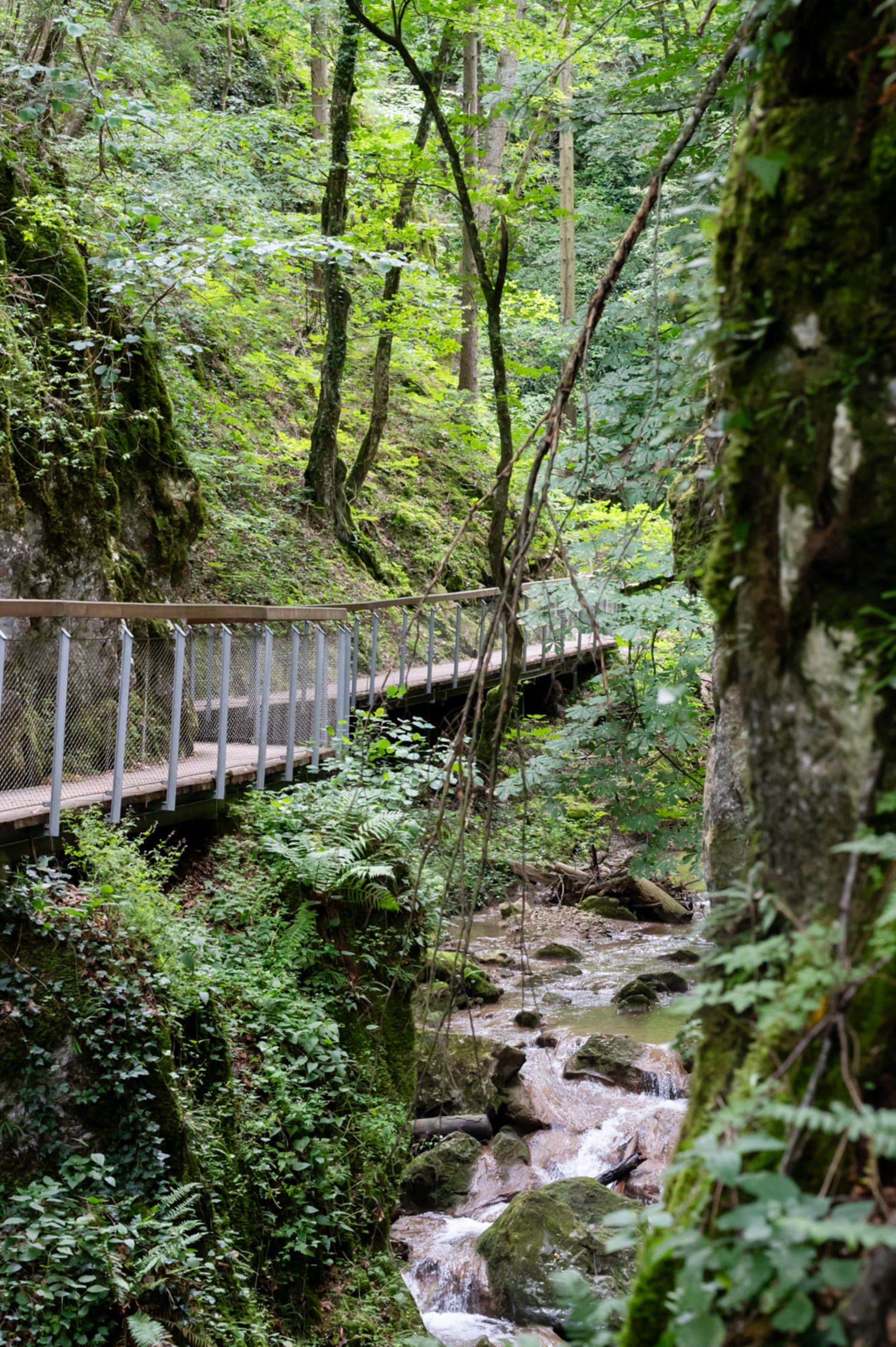 Johannesbachklamm, Steg