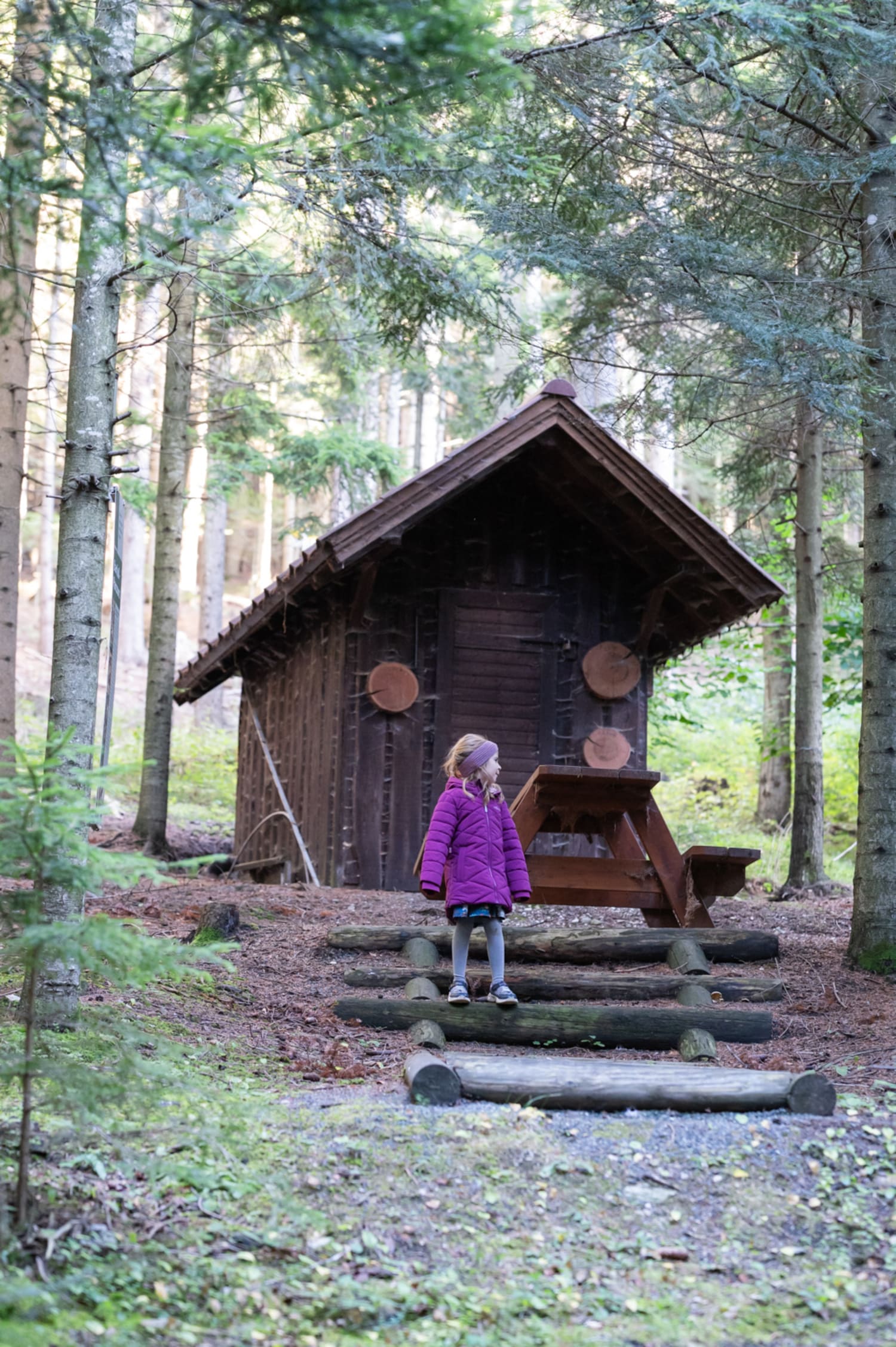 Hütte am Eisteich, Walderlebnisweg Gschaidt