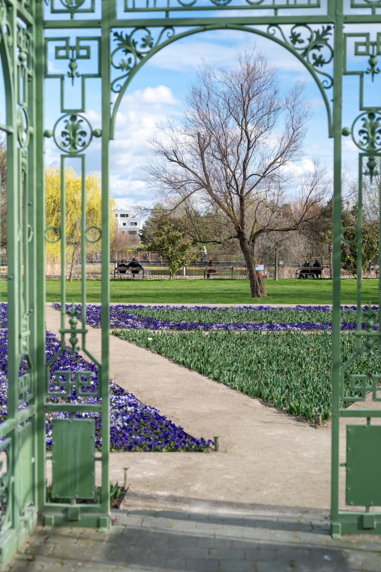 Blumengärten Hirschstetten im März, Wien