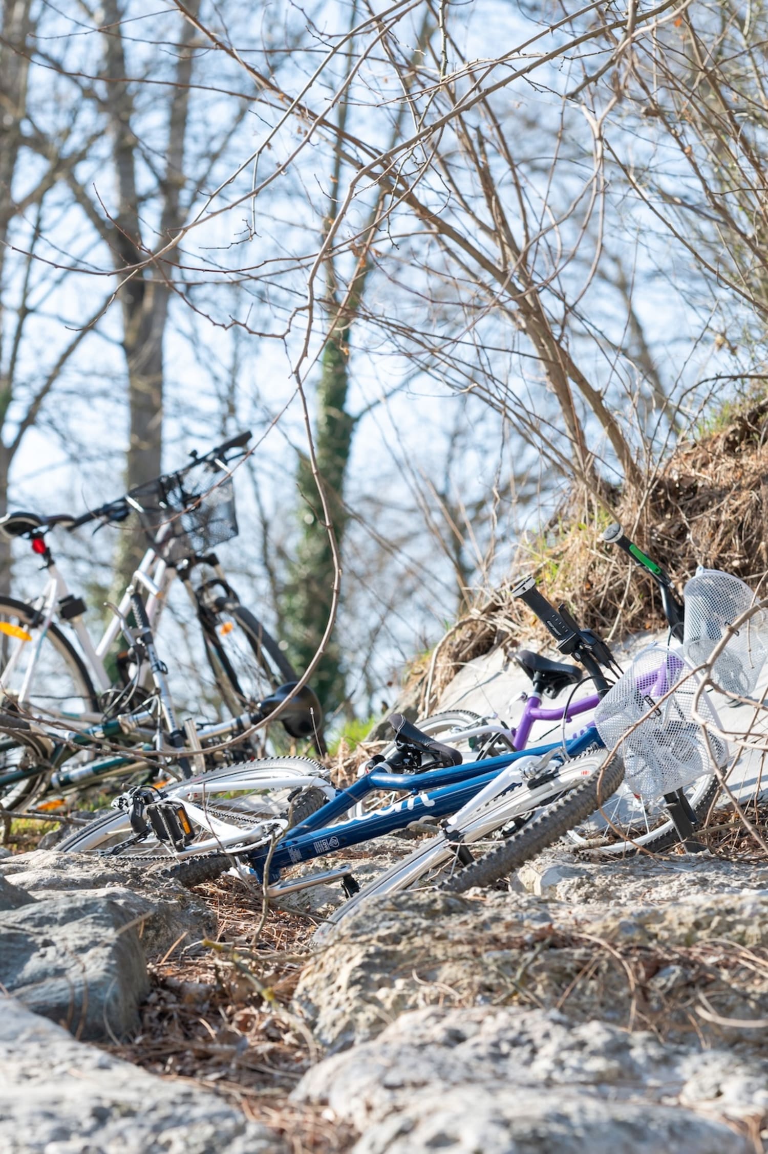 Räder am Naturlehrpfad Katzelsdorf