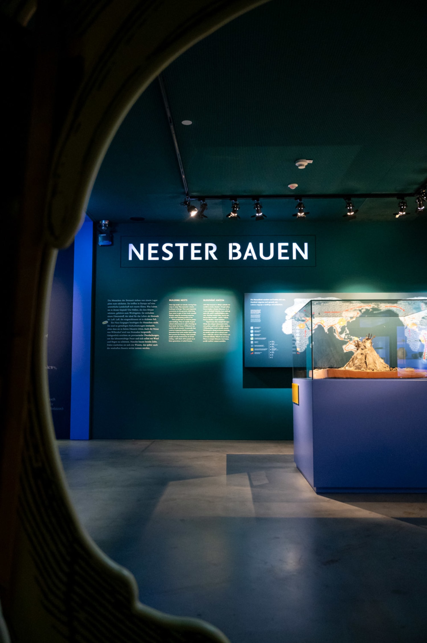 Raum Nester Bauen in der SONNENWELT Großschönau