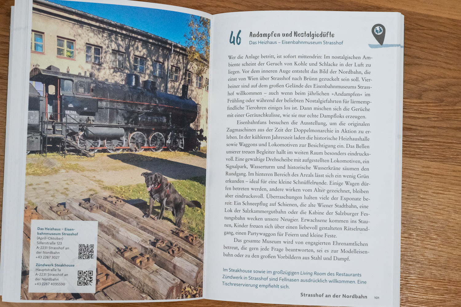 Blick ins Buch Reiseführer Lieblingsplätze mit Hund in und um Wien