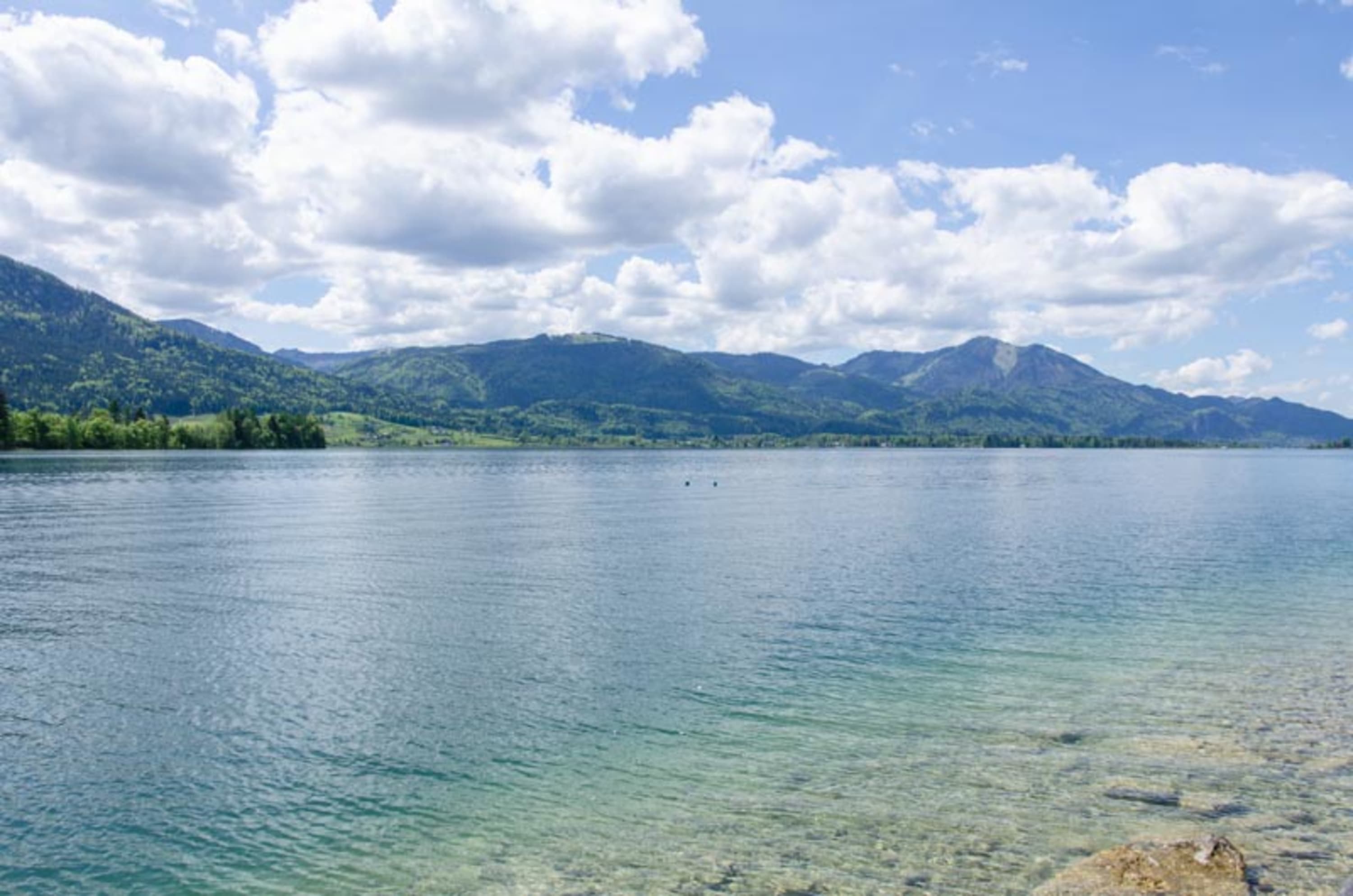 Wolfgangsee Bürglsteinrunde Blick ans andere Seeufer